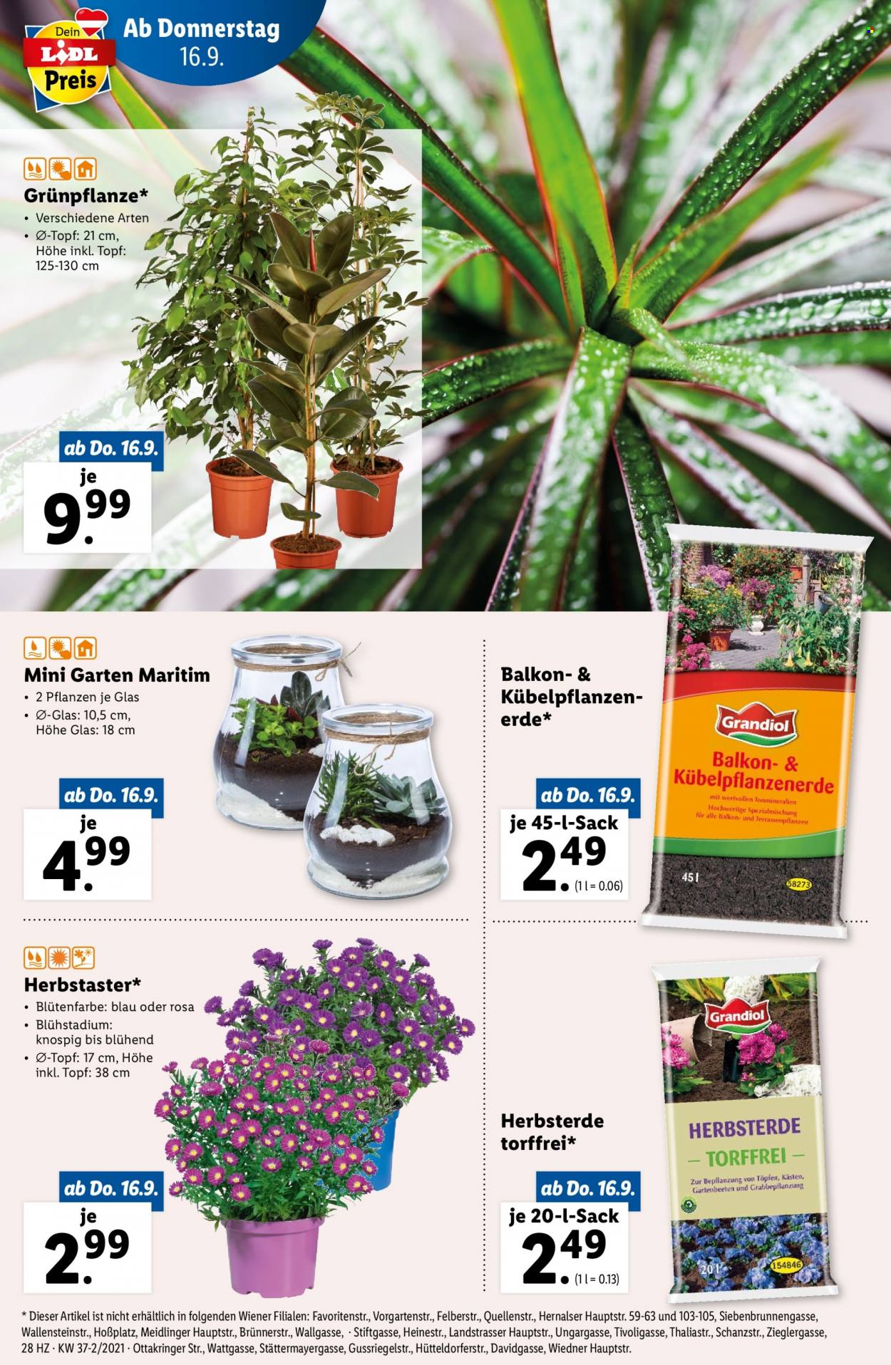 Angebote Lidl - 16.9.2021 - 22.9.2021. Seite 28