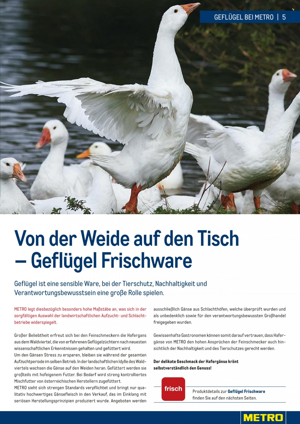 Angebote Metro - 27.9.2021 - 31.12.2021. Seite 5