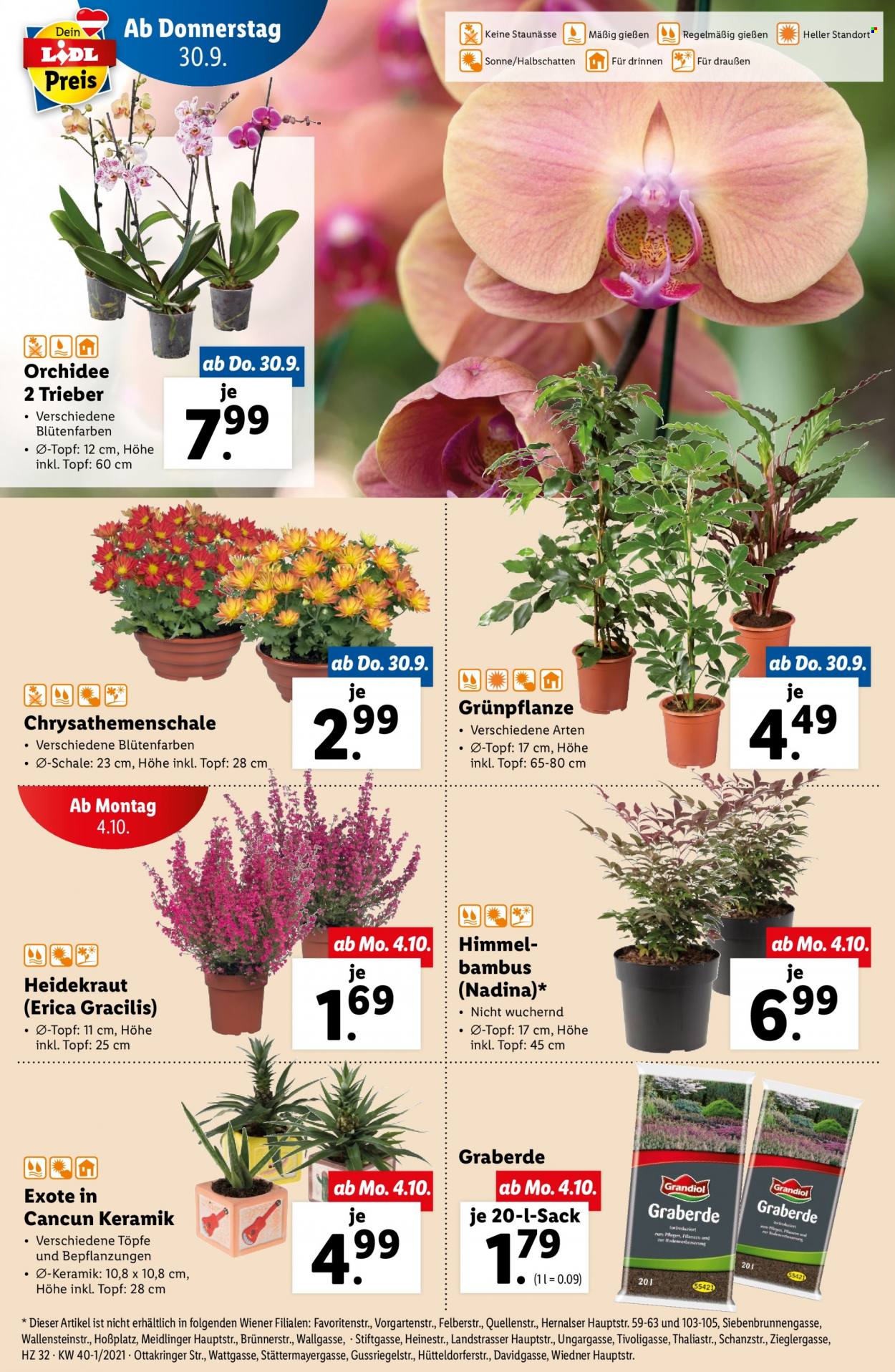 Angebote Lidl - 30.9.2021 - 6.10.2021. Seite 32