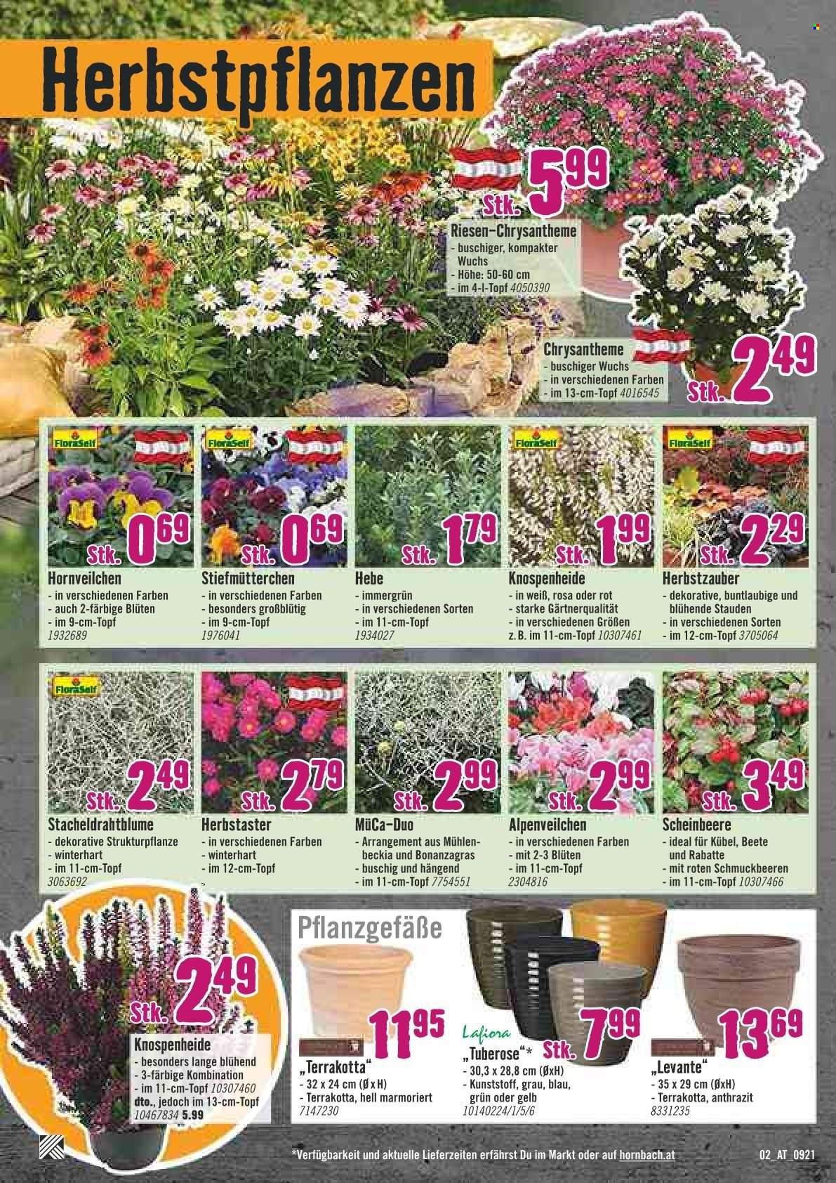 Angebote Hornbach - 30.9.2021 - 13.10.2021. Seite 2