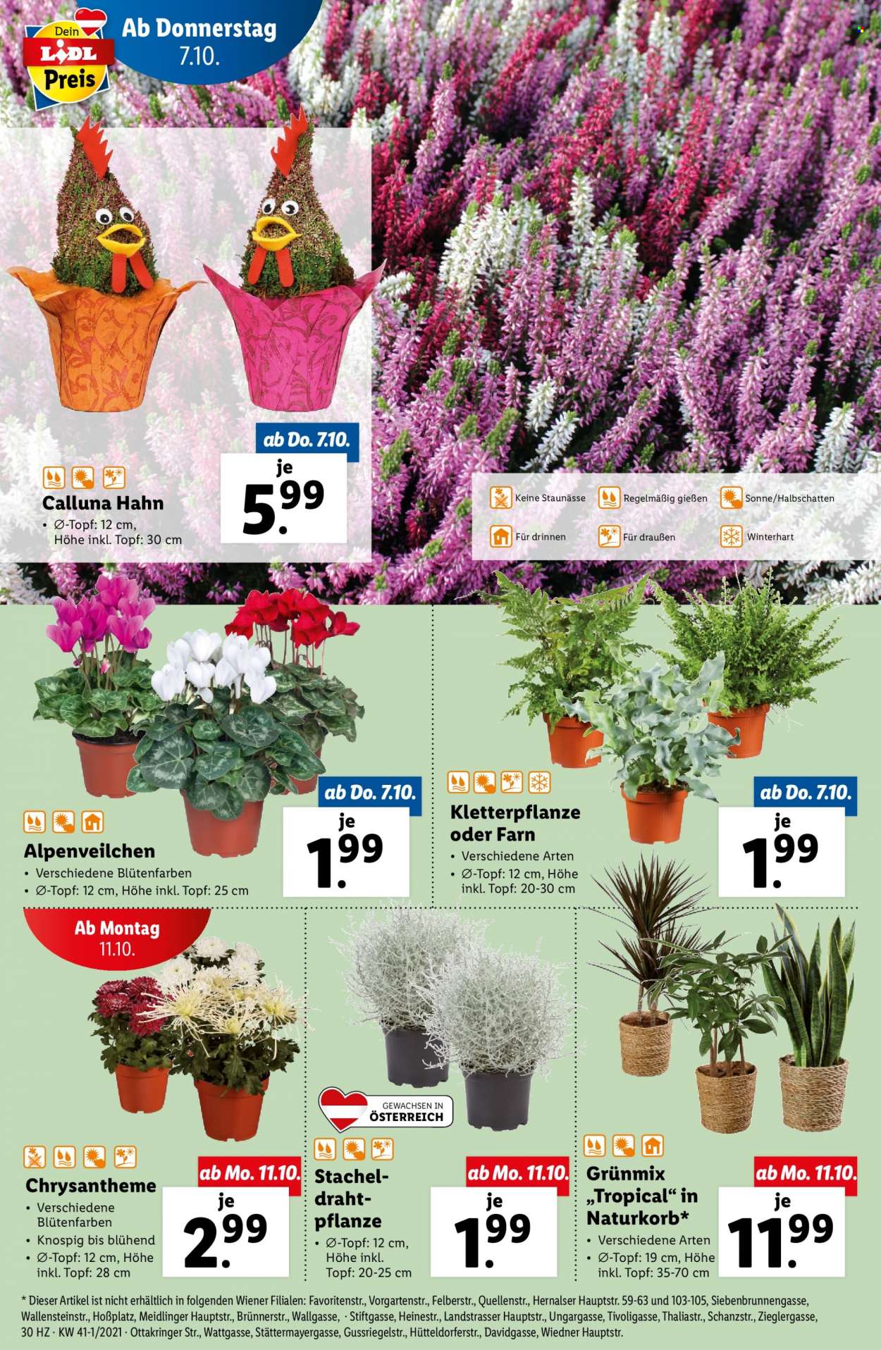 Angebote Lidl - 7.10.2021 - 13.10.2021. Seite 30