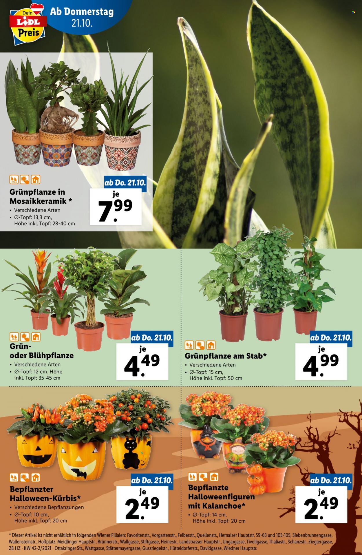 Angebote Lidl - 21.10.2021 - 27.10.2021. Seite 28