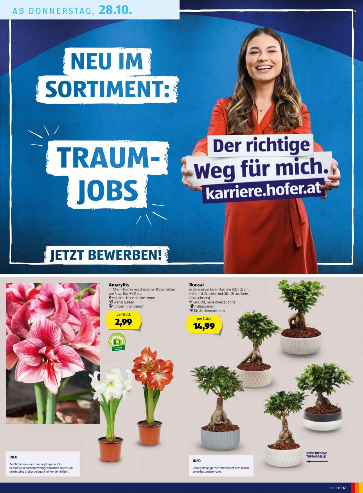 Angebote Hofer - 22.10.2021 - 28.10.2021. Seite 17