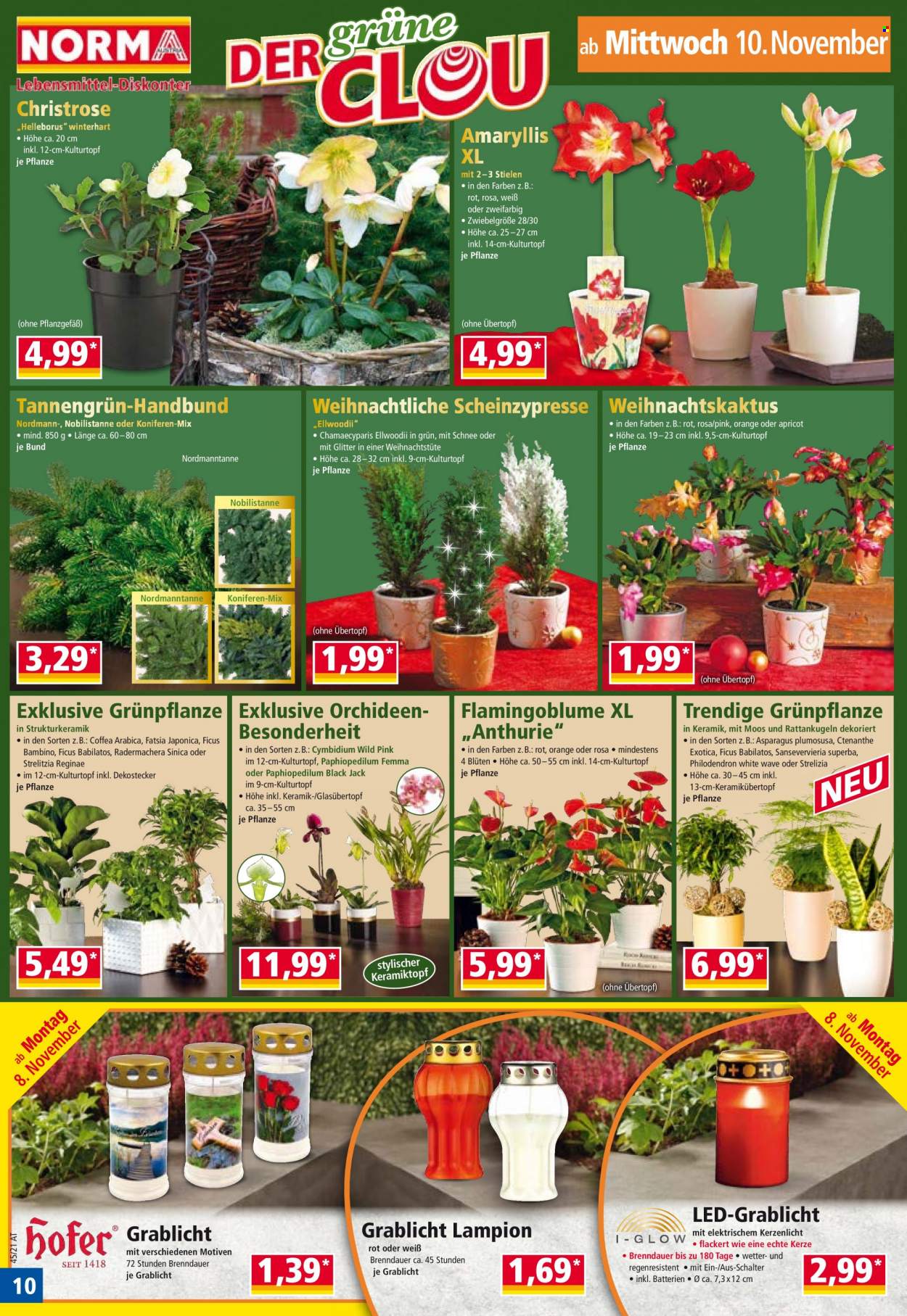 Angebote Norma - 8.11.2021 - 13.11.2021. Seite 10