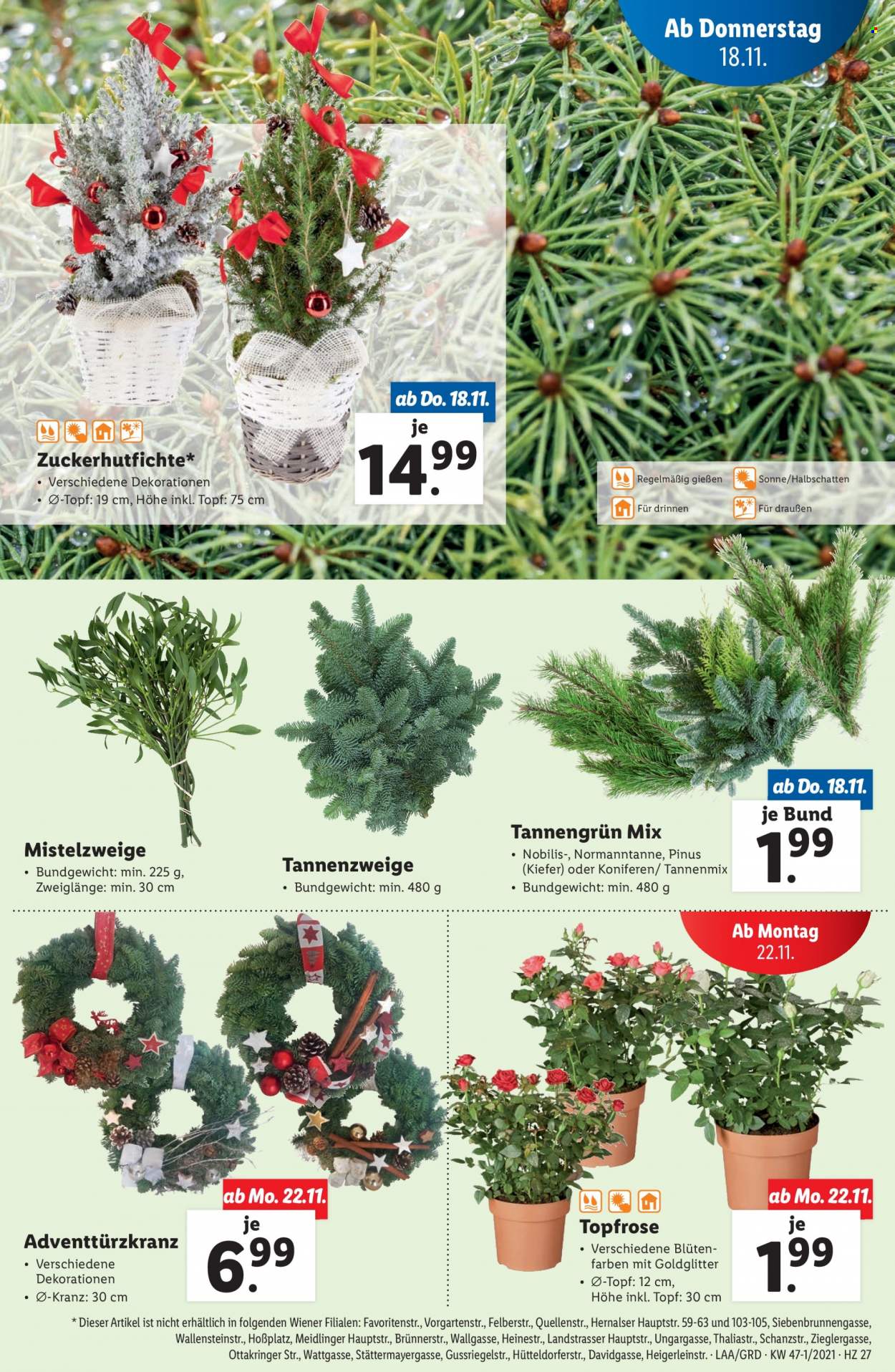 Angebote Lidl - 18.11.2021 - 24.11.2021. Seite 27