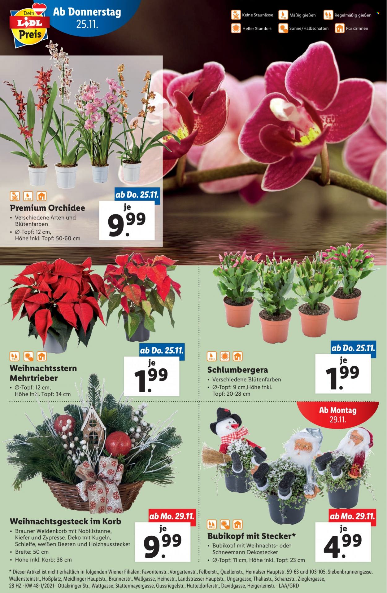 Angebote Lidl - 25.11.2021 - 1.12.2021. Seite 28
