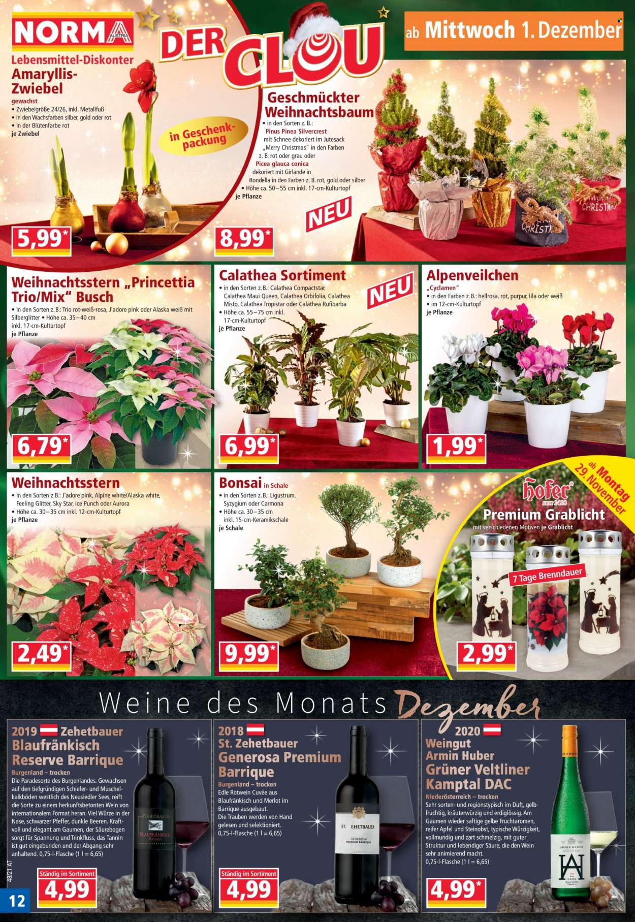 Angebote Norma - 29.11.2021 - 4.12.2021. Seite 12