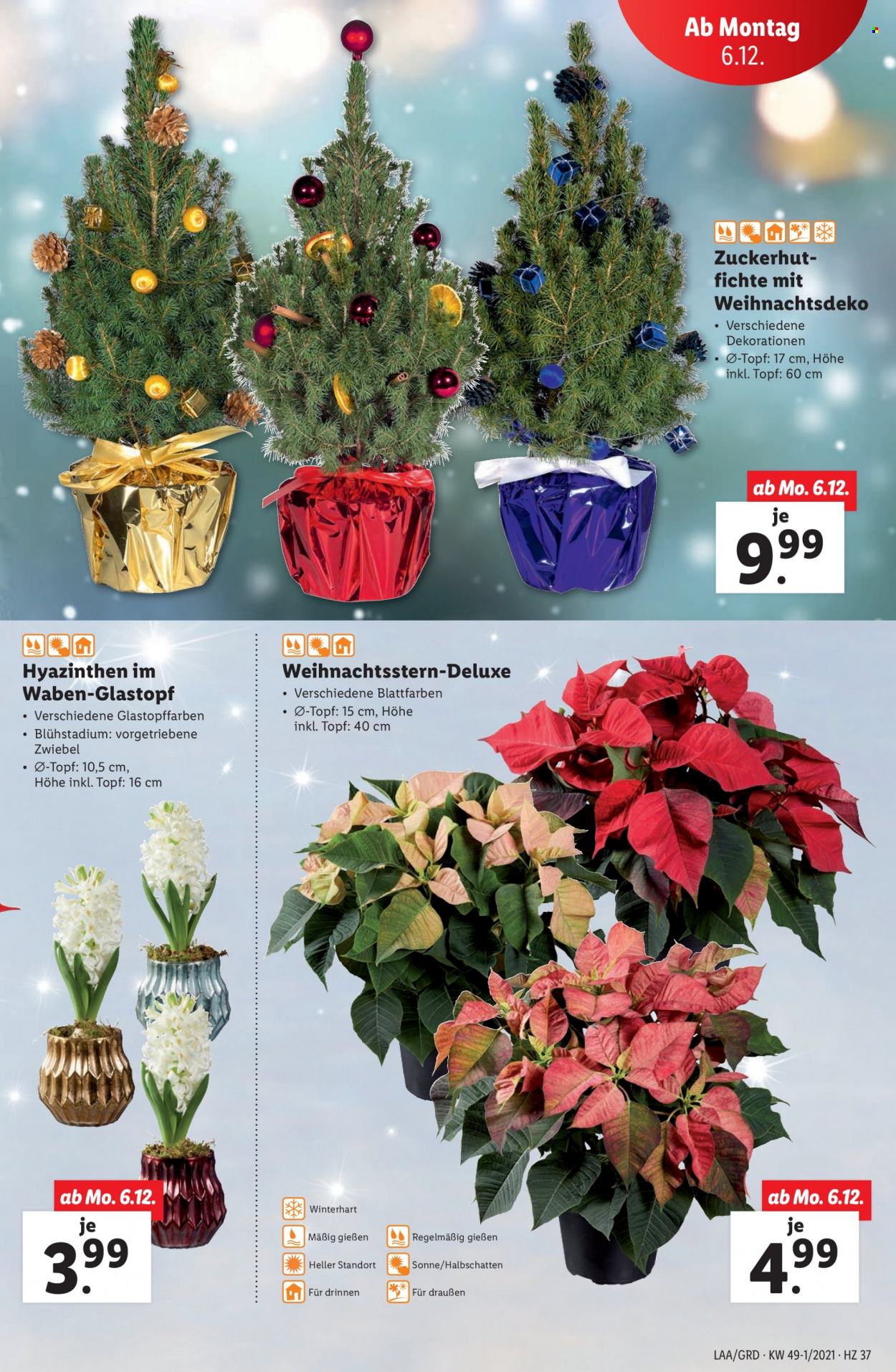 Angebote Lidl - 2.12.2021 - 8.12.2021. Seite 37