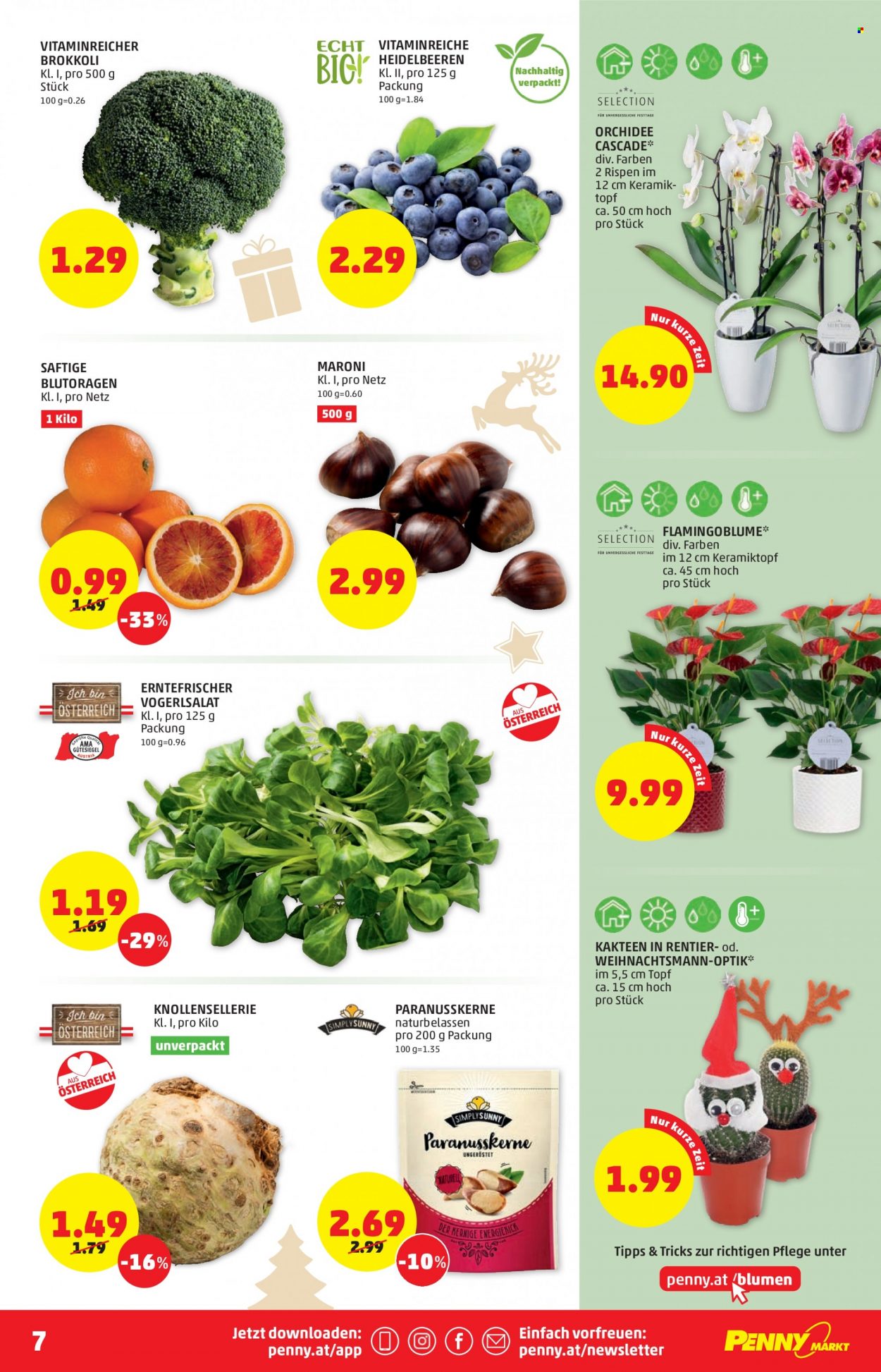 Angebote Penny - 16.12.2021 - 23.12.2021. Seite 7