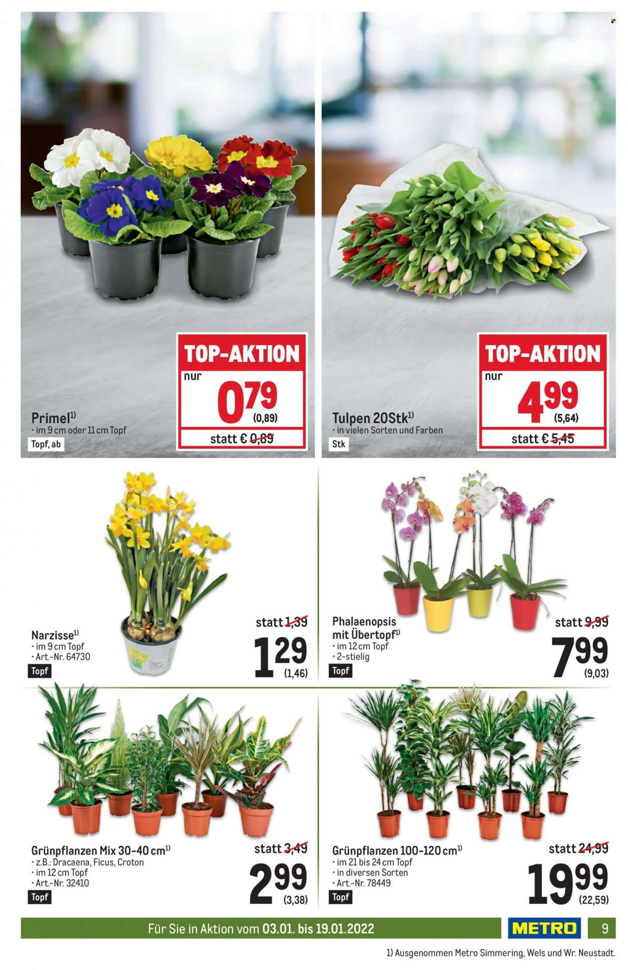 Angebote Metro - 3.1.2022 - 19.1.2022. Seite 9