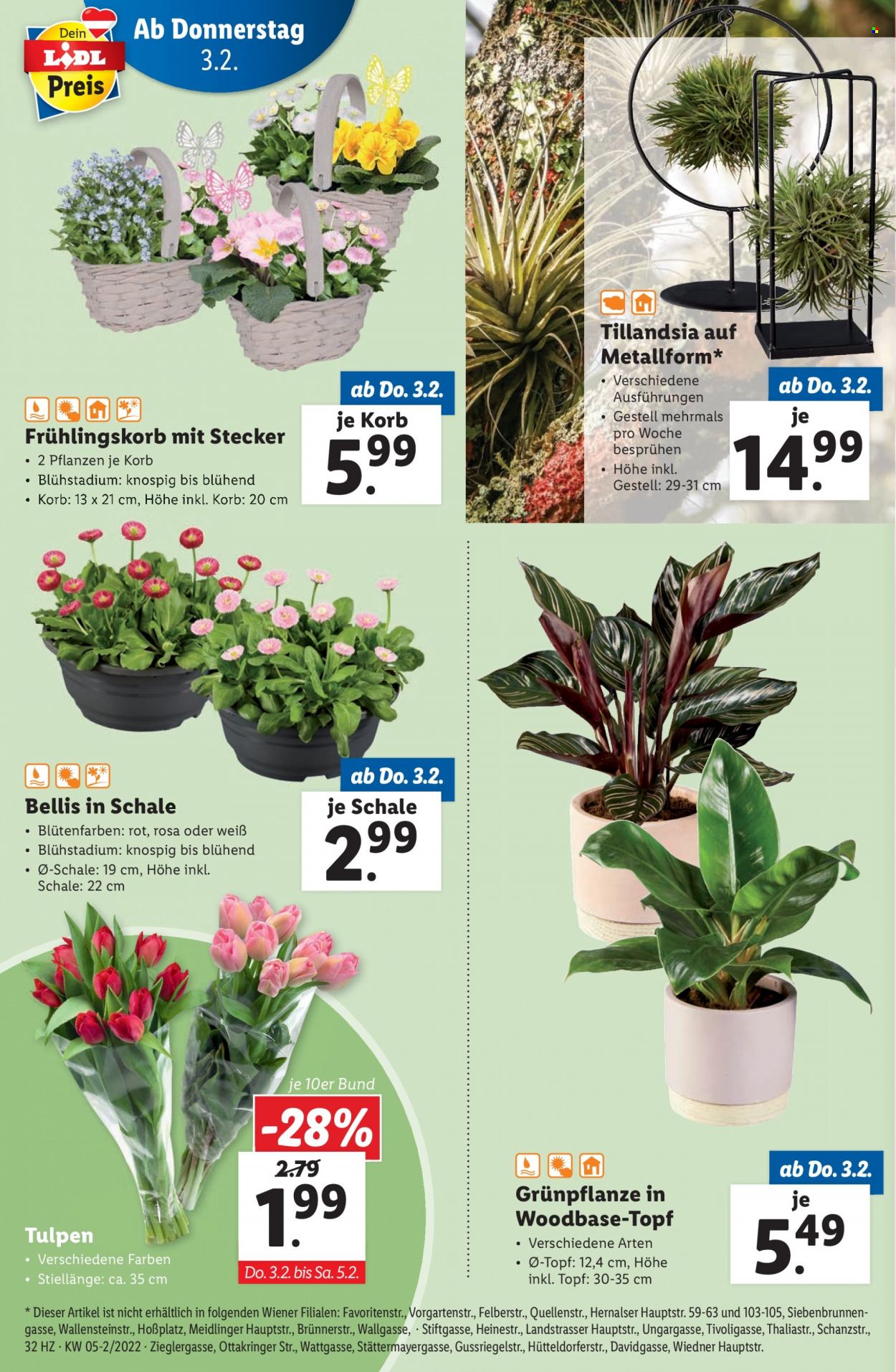 Angebote Lidl - 3.2.2022 - 9.2.2022. Seite 32