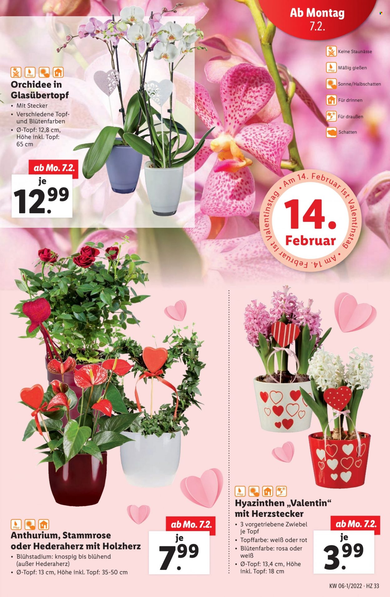 Angebote Lidl - 3.2.2022 - 9.2.2022. Seite 33