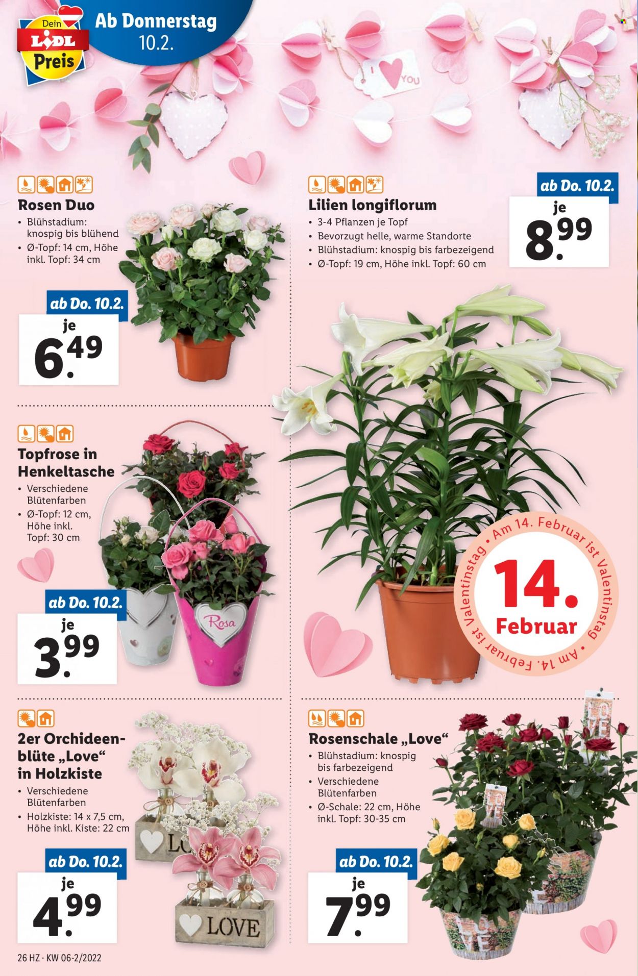 Angebote Lidl - 10.2.2022 - 16.2.2022. Seite 26