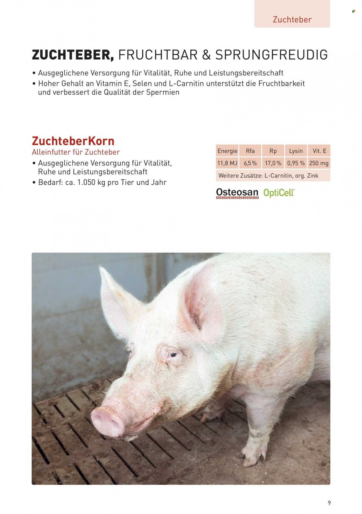 Angebote Lagerhaus. Seite 9