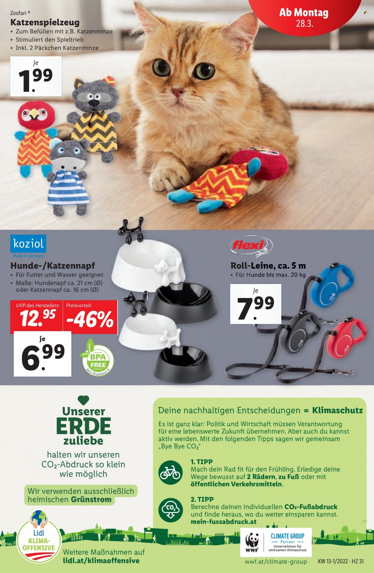 Angebote Lidl - 24.3.2022 - 30.3.2022. Seite 31