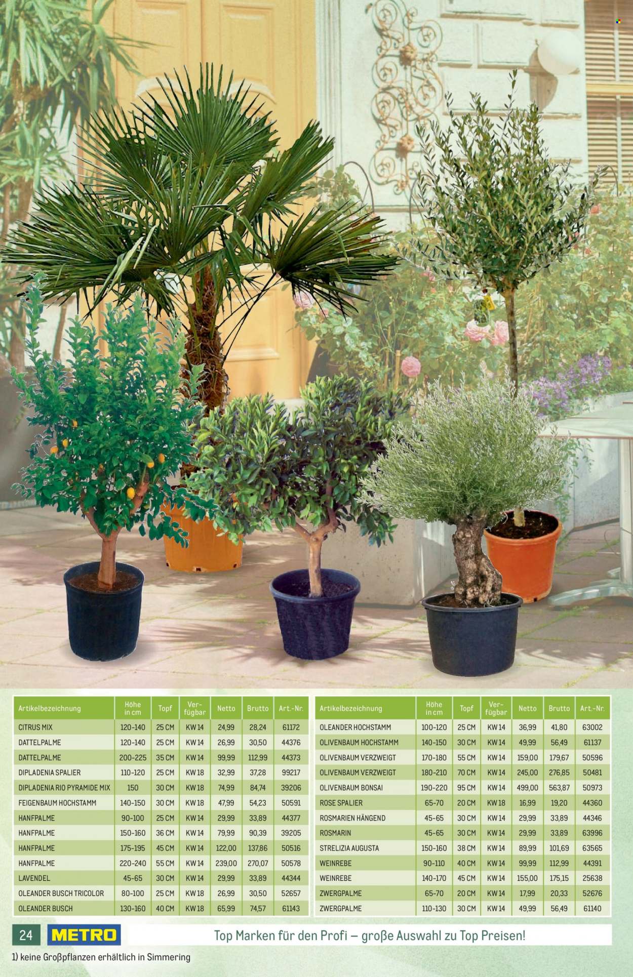 Angebote Metro - 31.3.2022 - 27.4.2022. Seite 24