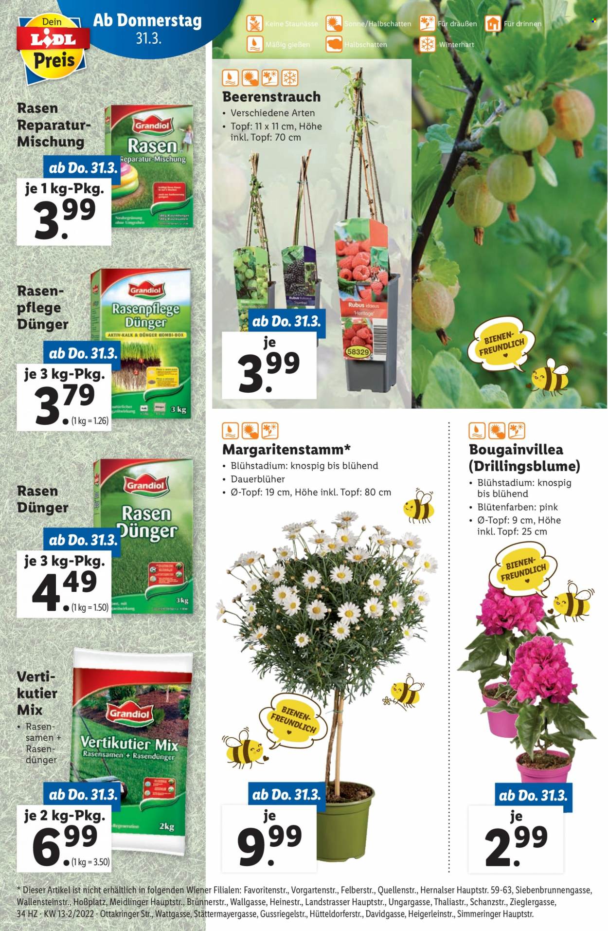 Angebote Lidl - 31.3.2022 - 6.4.2022. Seite 34