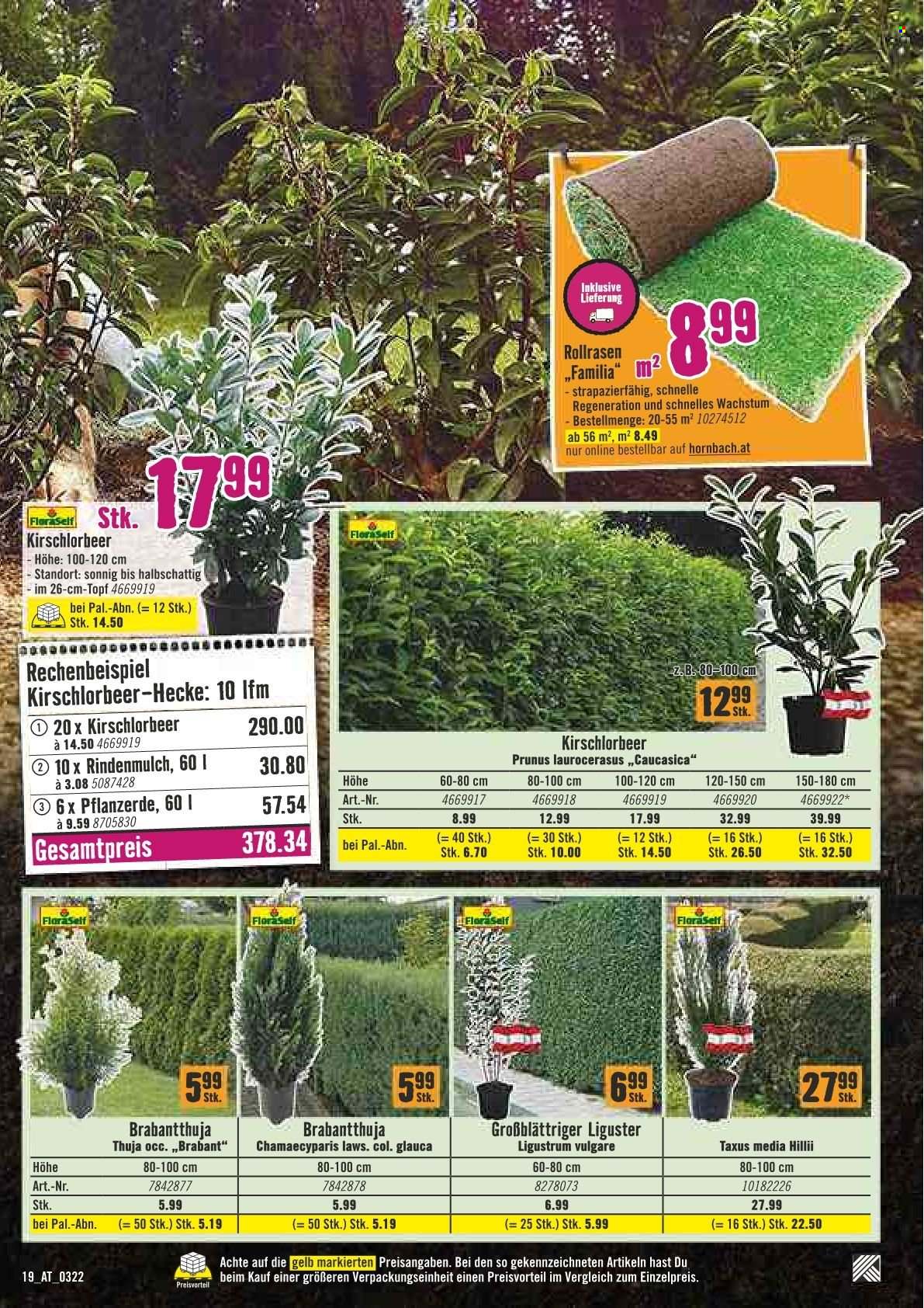 Angebote Hornbach - 31.3.2022 - 13.4.2022. Seite 19