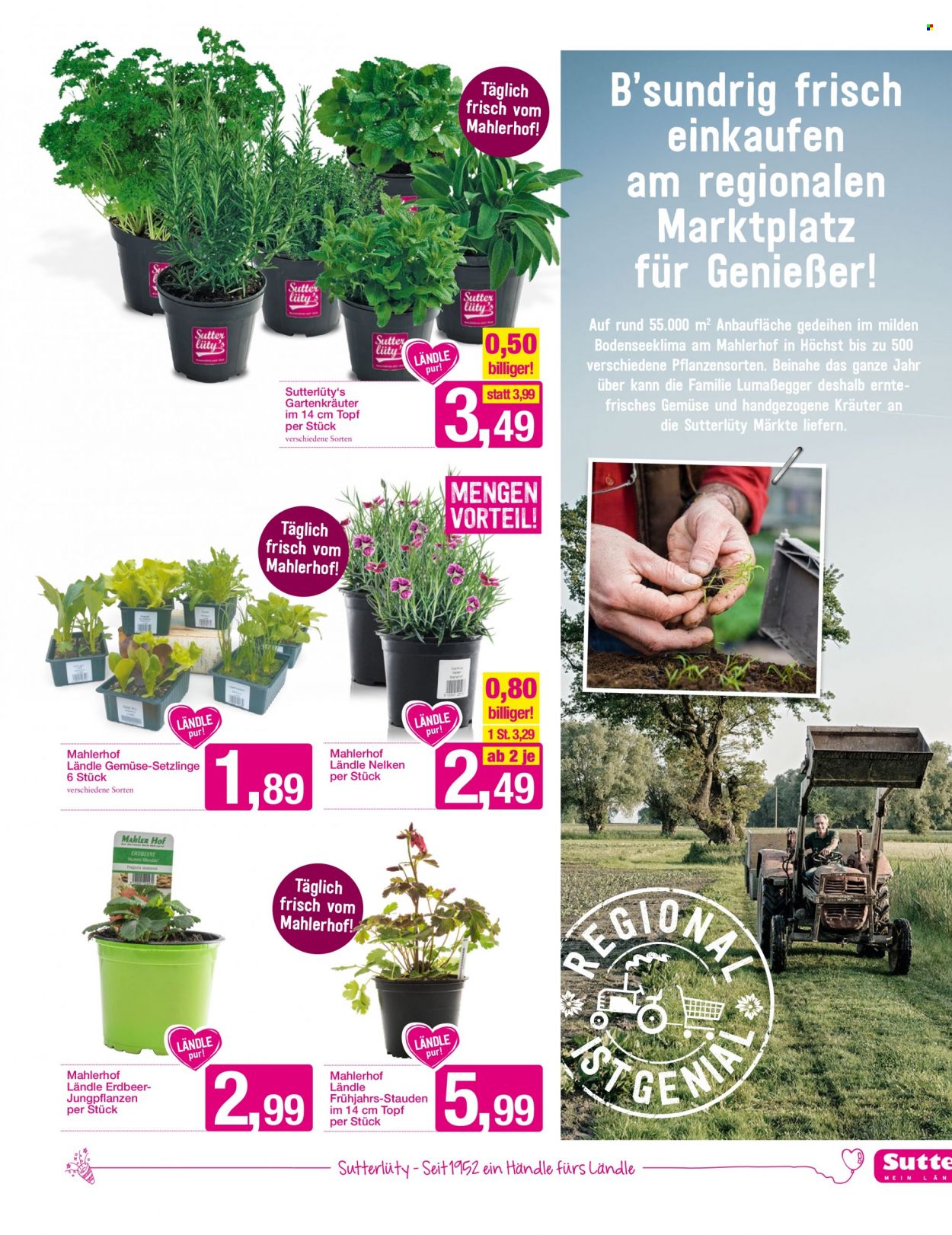 Angebote Sutterlüty - 21.4.2022 - 26.4.2022. Seite 10
