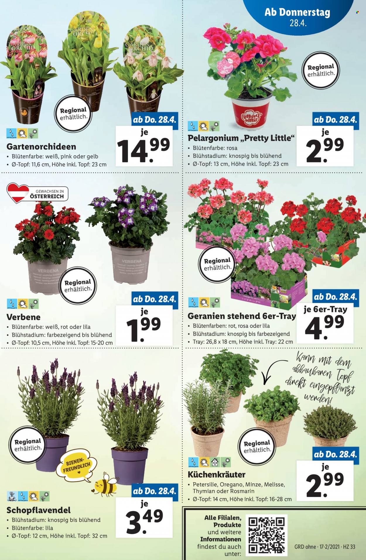 Angebote Lidl - 28.4.2022 - 4.5.2022. Seite 36