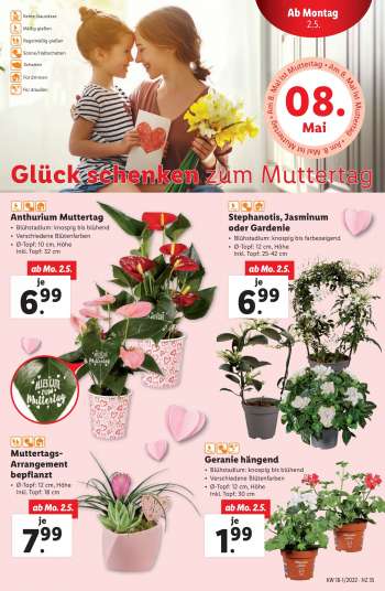 thumbnail - Gardenie