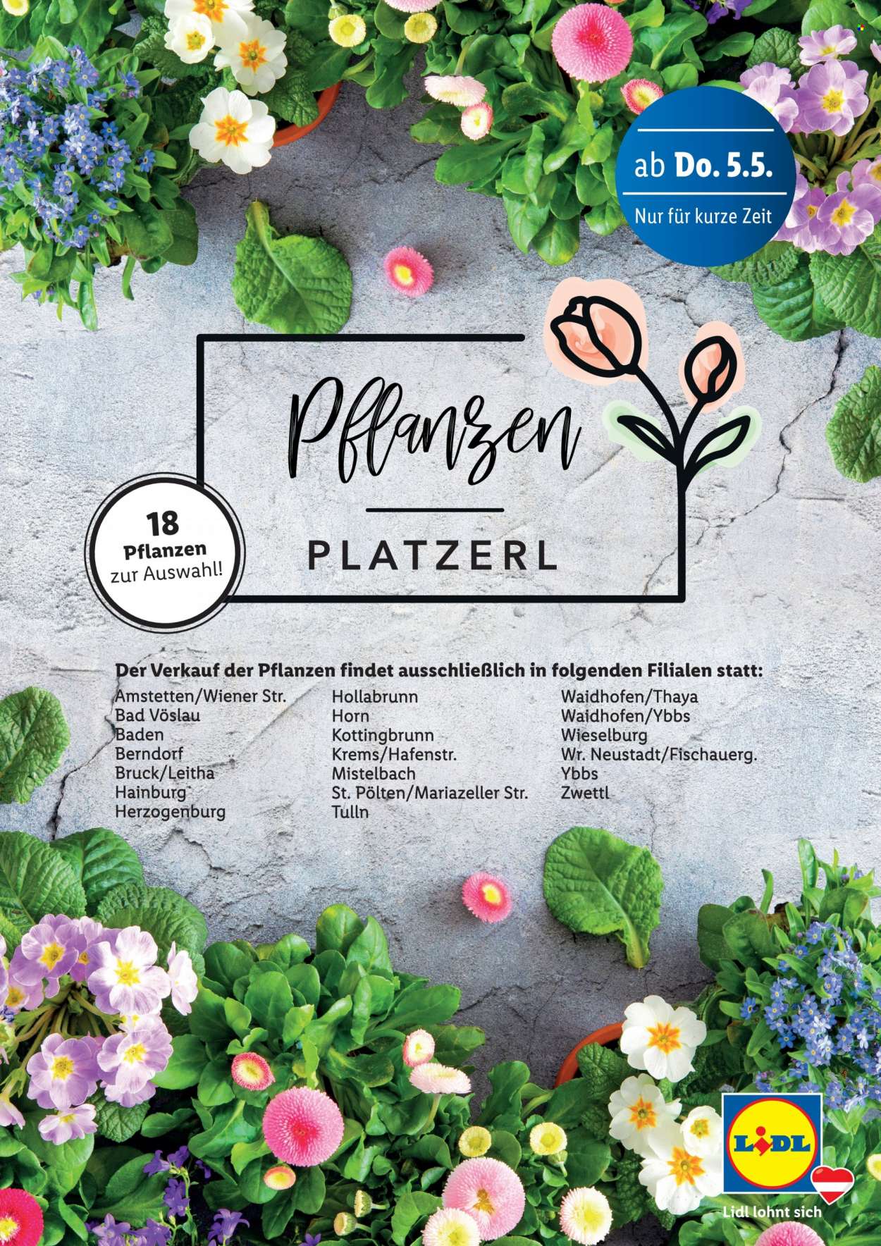 Angebote Lidl. Seite 1