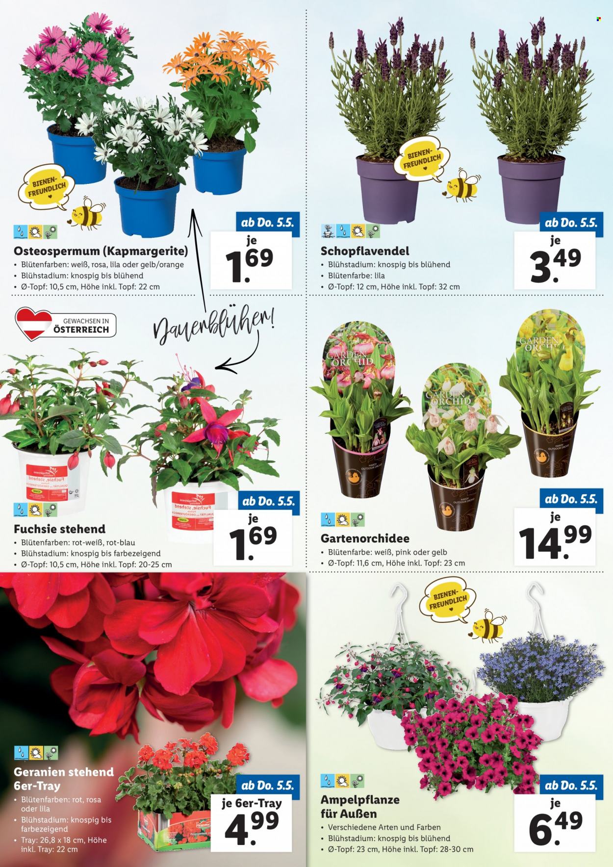 Angebote Lidl. Seite 2