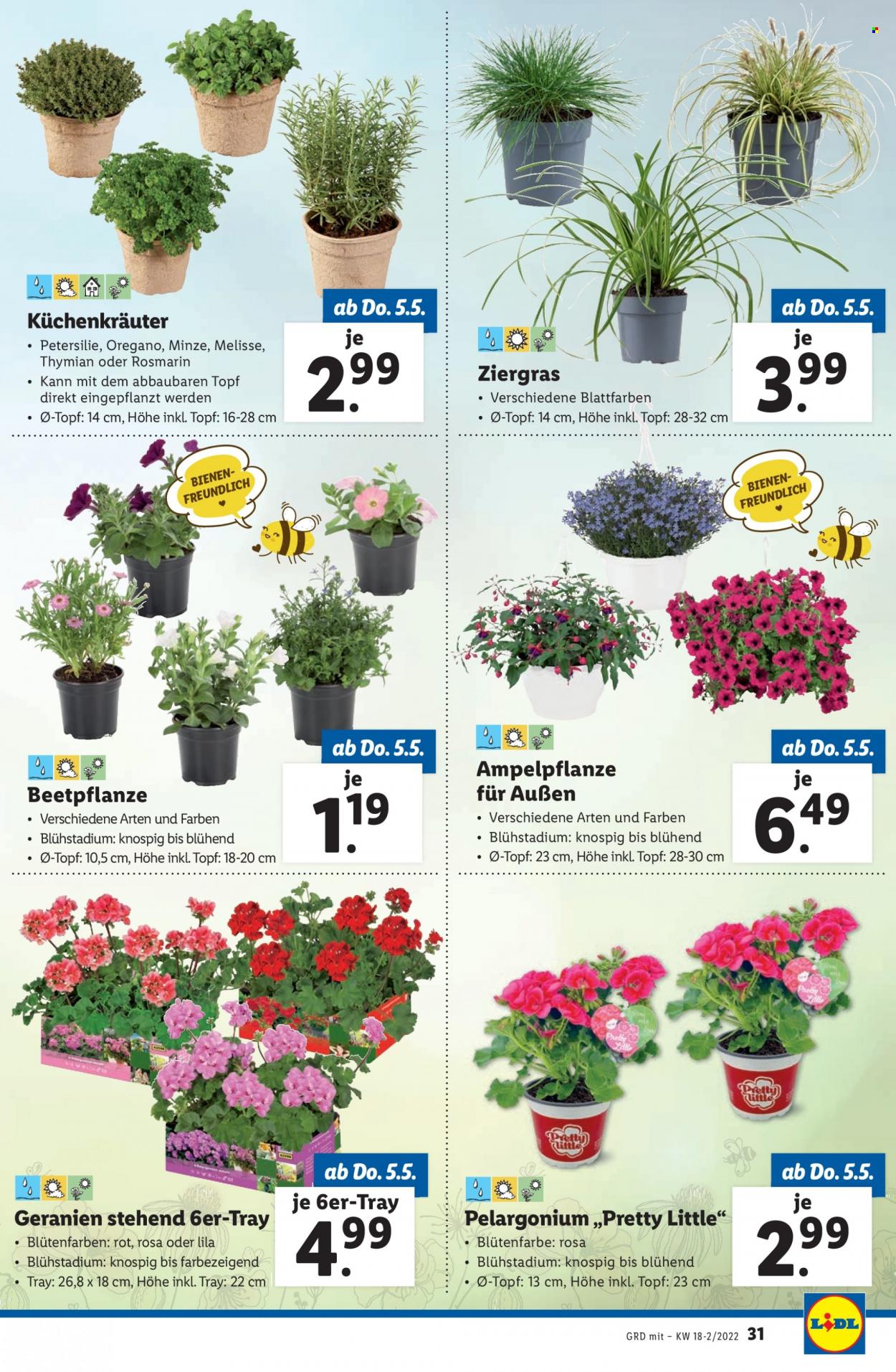 Angebote Lidl - 5.5.2022 - 11.5.2022. Seite 31