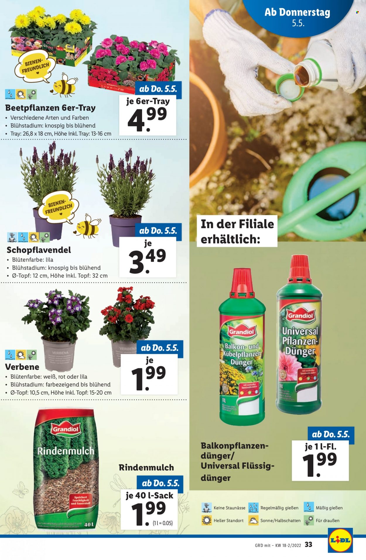 Angebote Lidl - 5.5.2022 - 11.5.2022. Seite 35