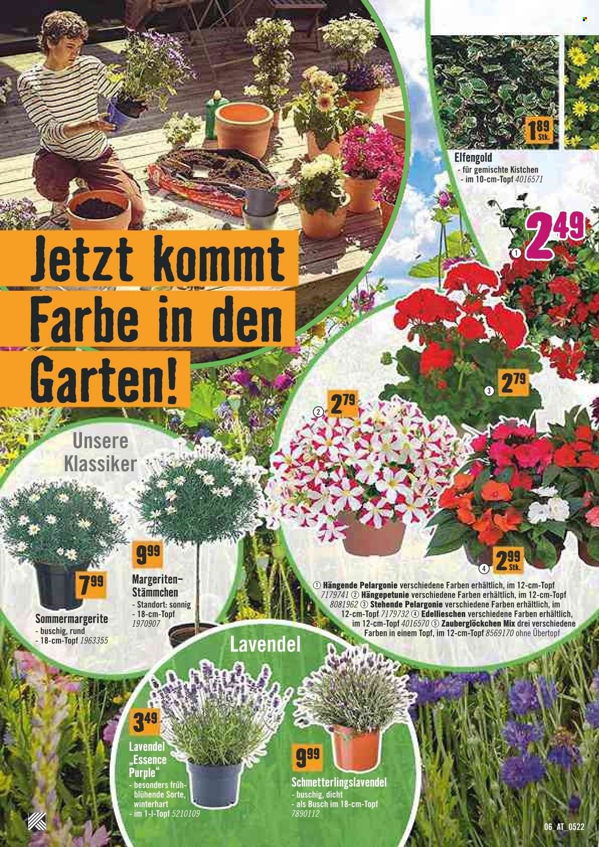 Angebote Hornbach - 1.5.2022 - 31.5.2022. Seite 7
