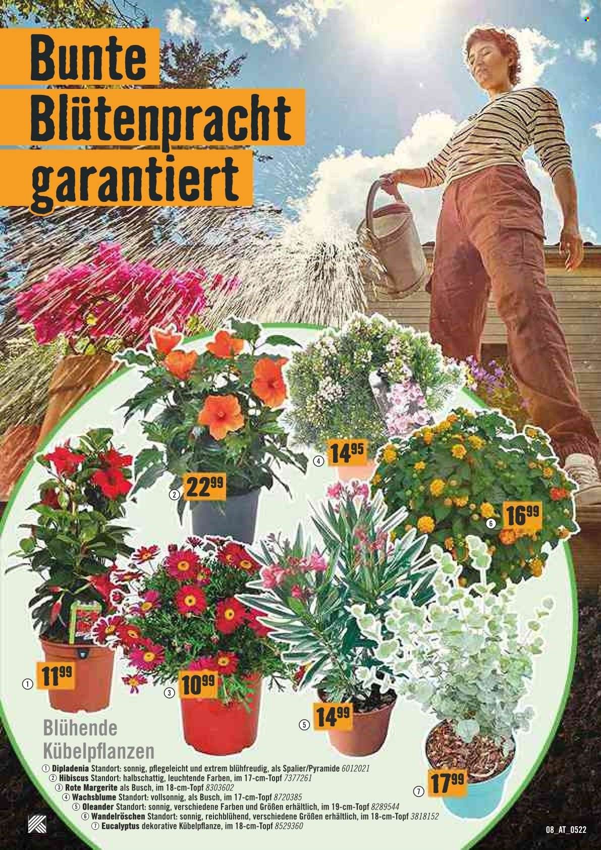 Angebote Hornbach - 1.5.2022 - 31.5.2022. Seite 9