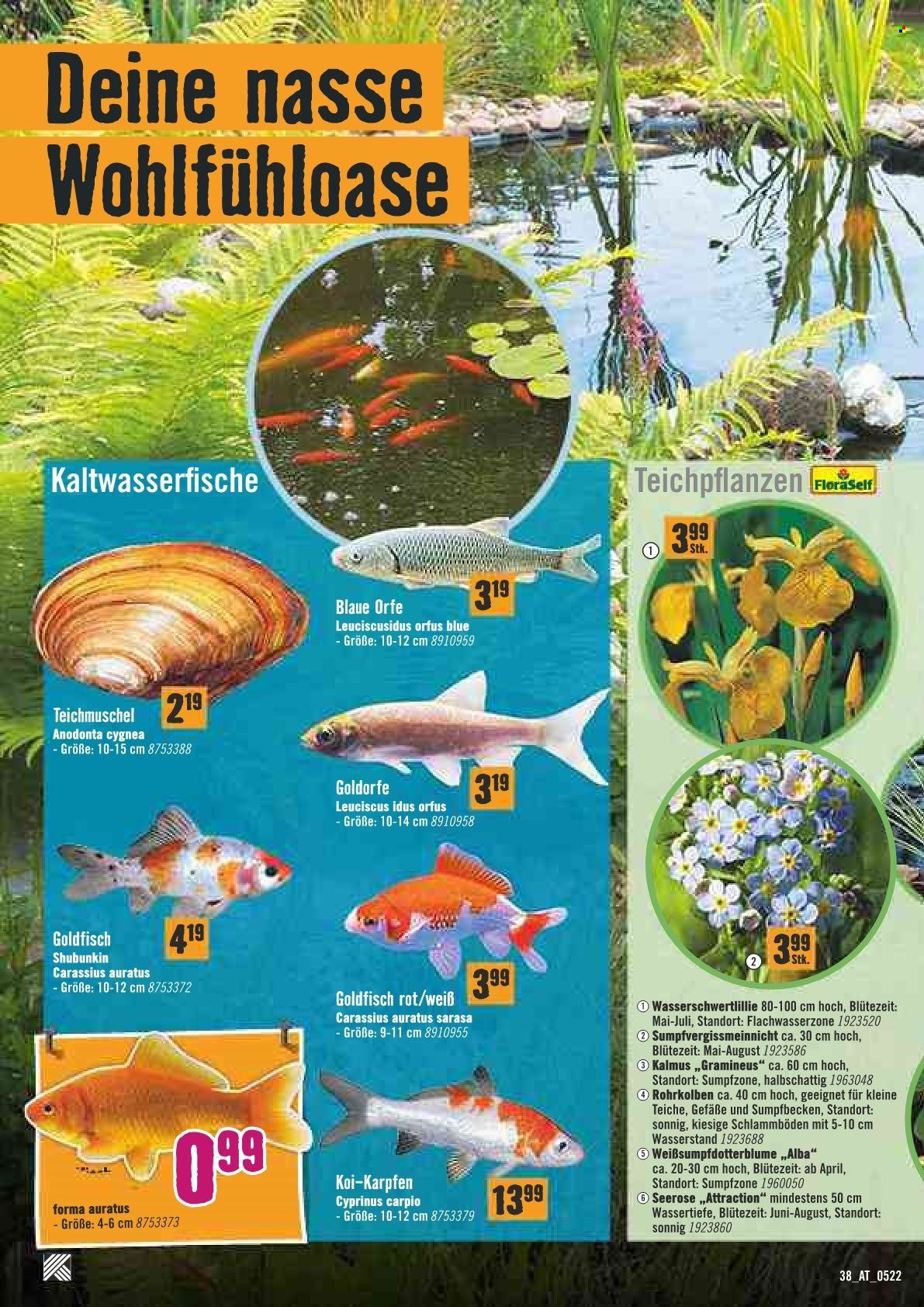 Angebote Hornbach - 1.5.2022 - 31.5.2022. Seite 39