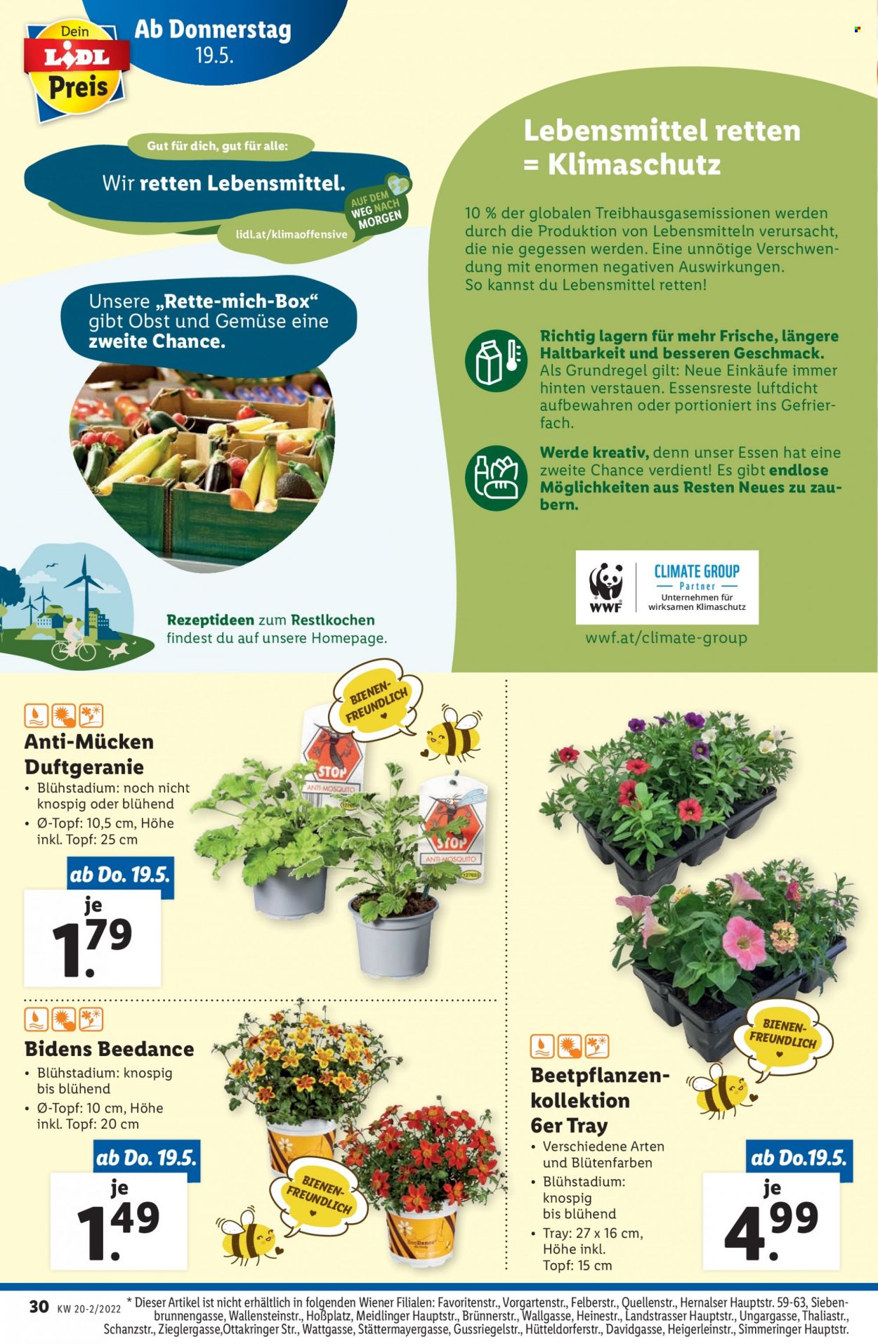 Angebote Lidl - 19.5.2022 - 24.5.2022. Seite 30