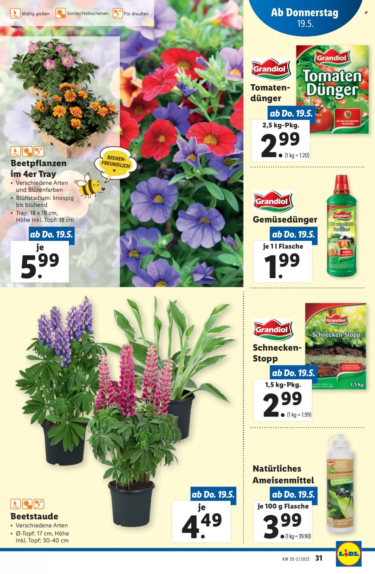 Angebote Lidl - 19.5.2022 - 24.5.2022. Seite 31