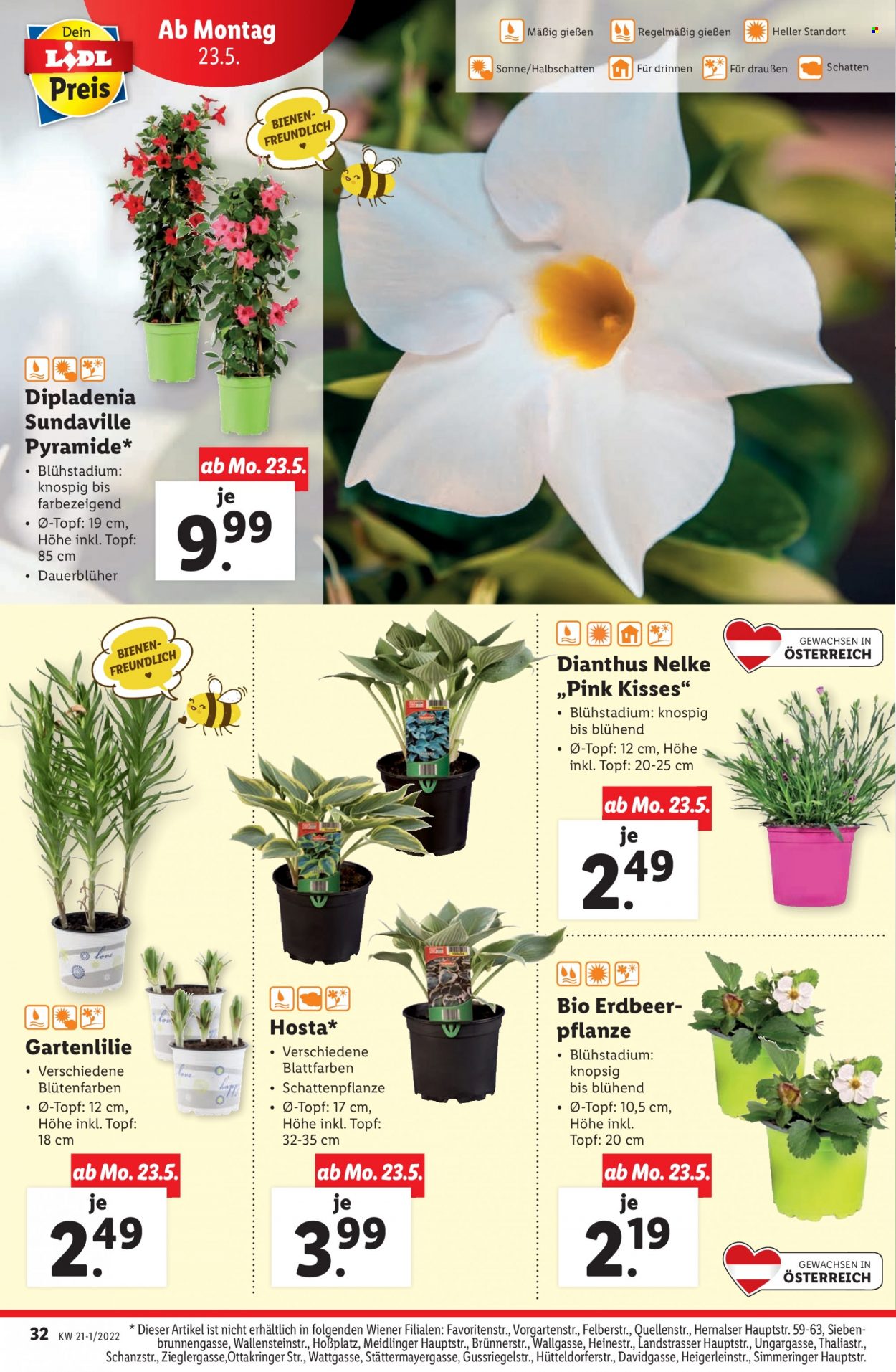 Angebote Lidl - 19.5.2022 - 24.5.2022. Seite 32