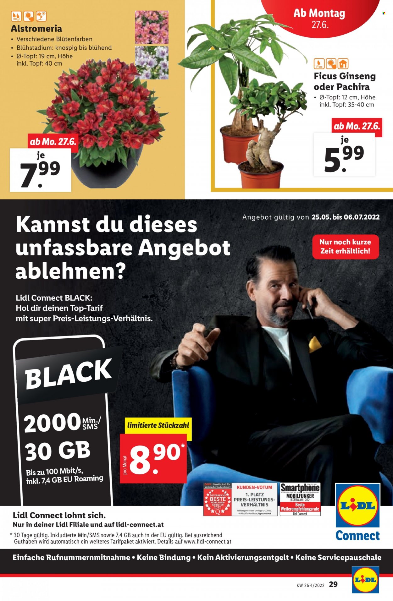 Angebote Lidl - 23.6.2022 - 29.6.2022. Seite 29