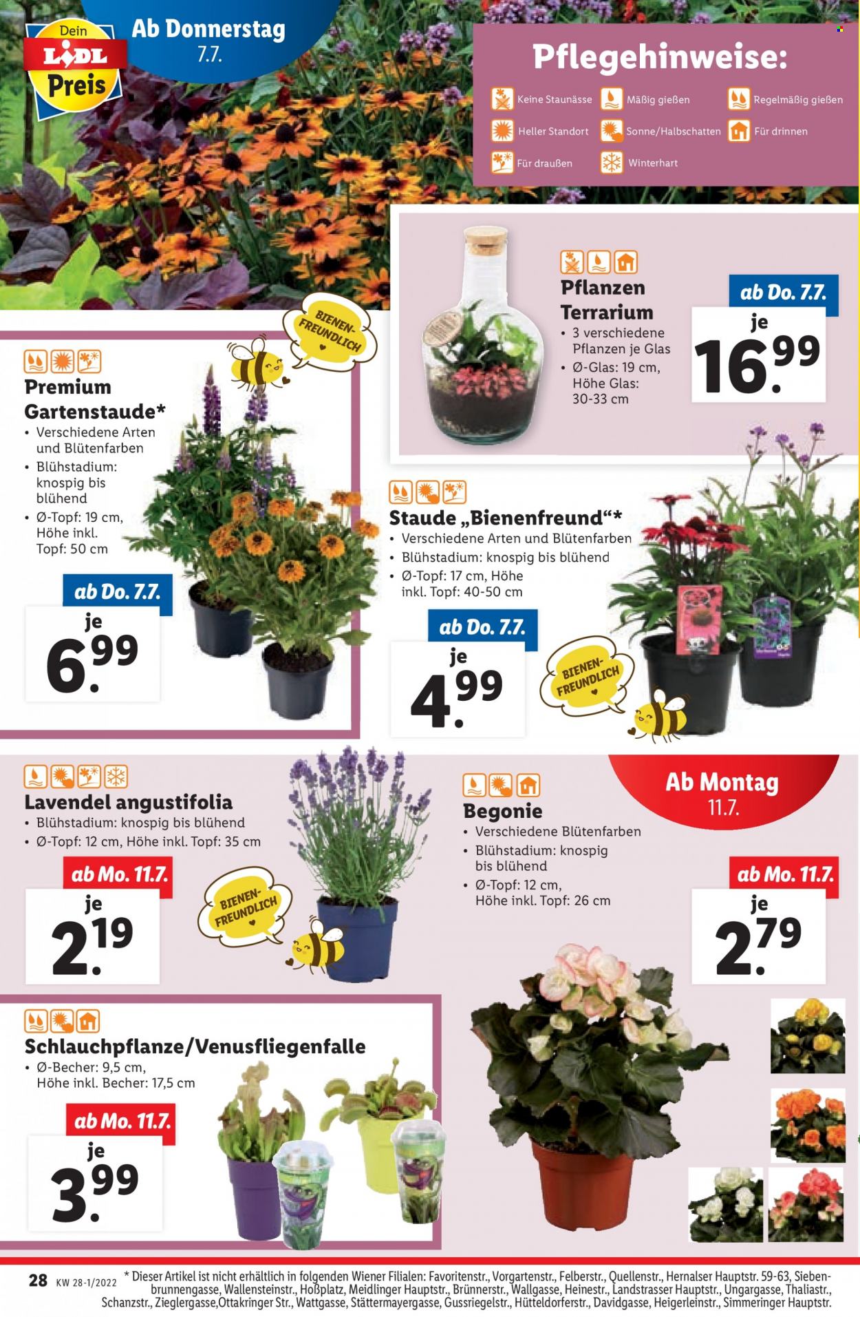 Angebote Lidl - 7.7.2022 - 13.7.2022. Seite 28