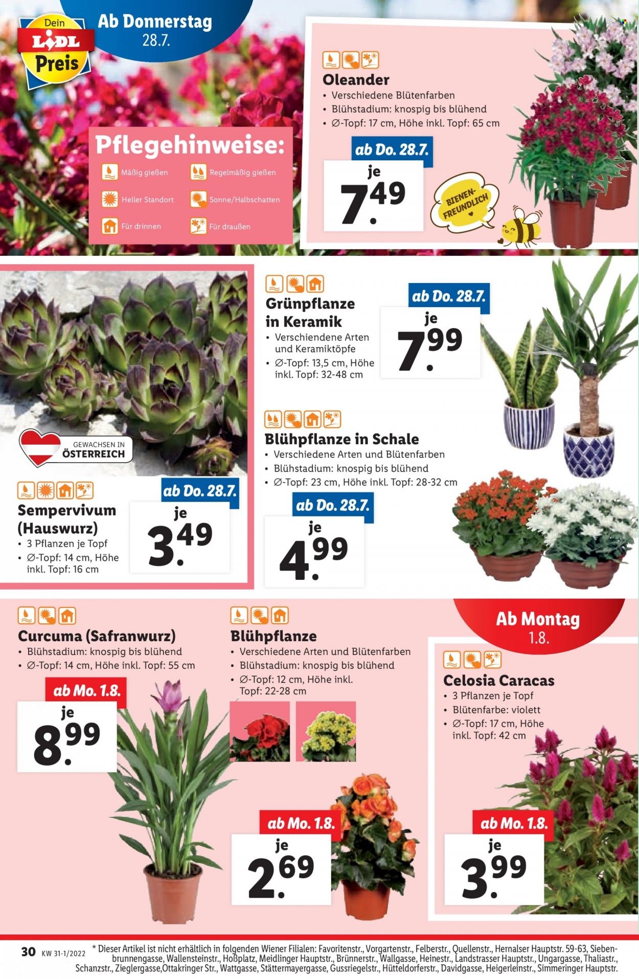 Angebote Lidl - 28.7.2022 - 3.8.2022. Seite 30