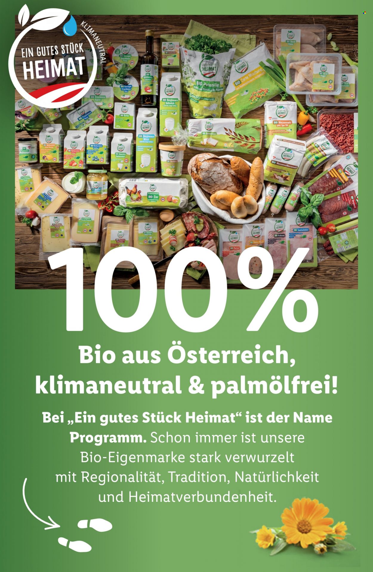 Angebote Lidl. Seite 6