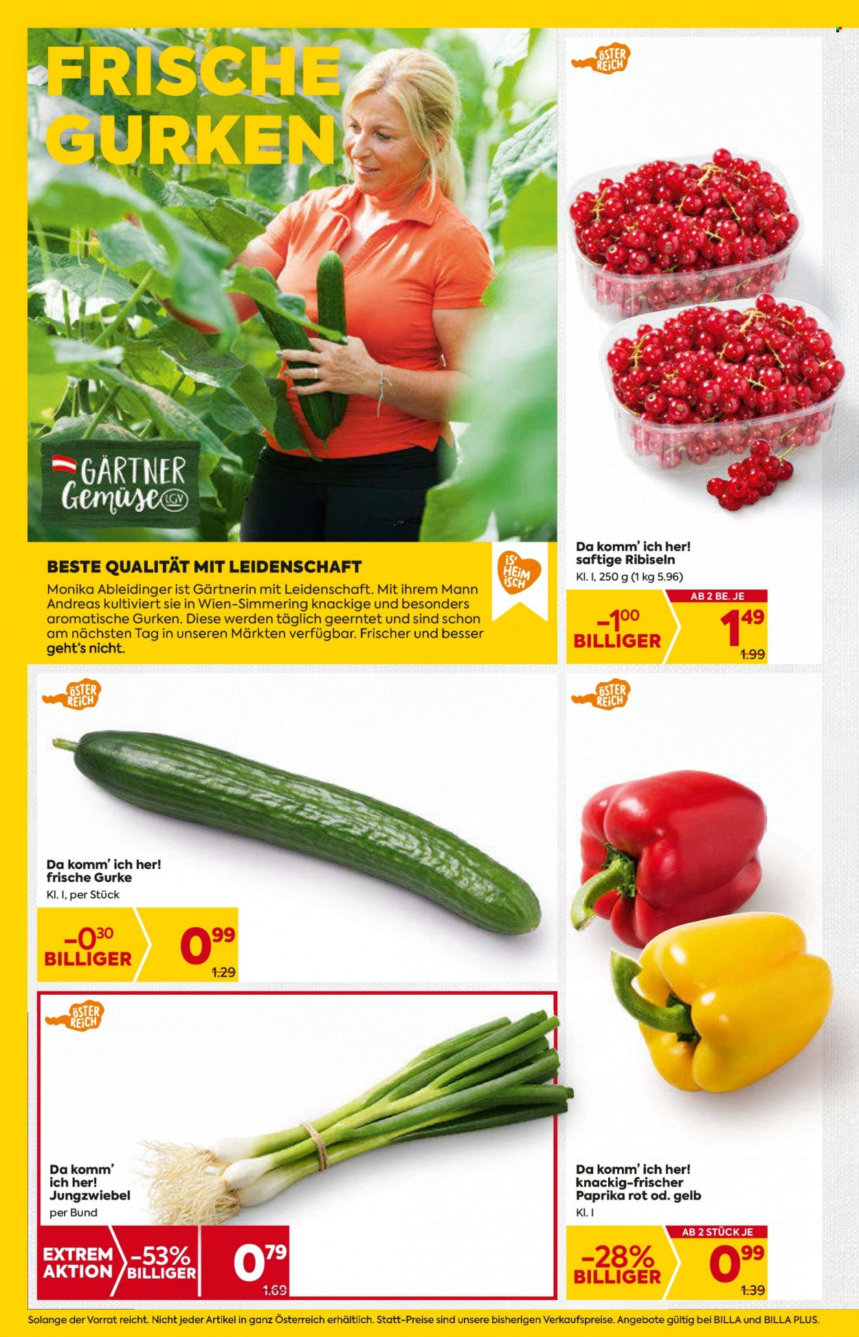 Angebote Billa - 11.8.2022 - 17.8.2022. Seite 8