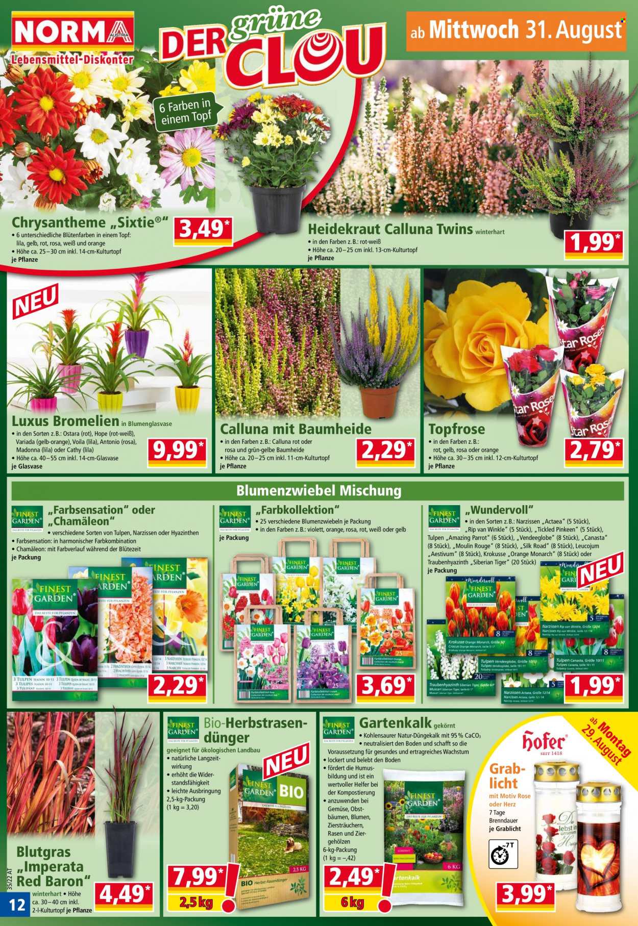 Angebote Norma - 29.8.2022 - 3.9.2022. Seite 12