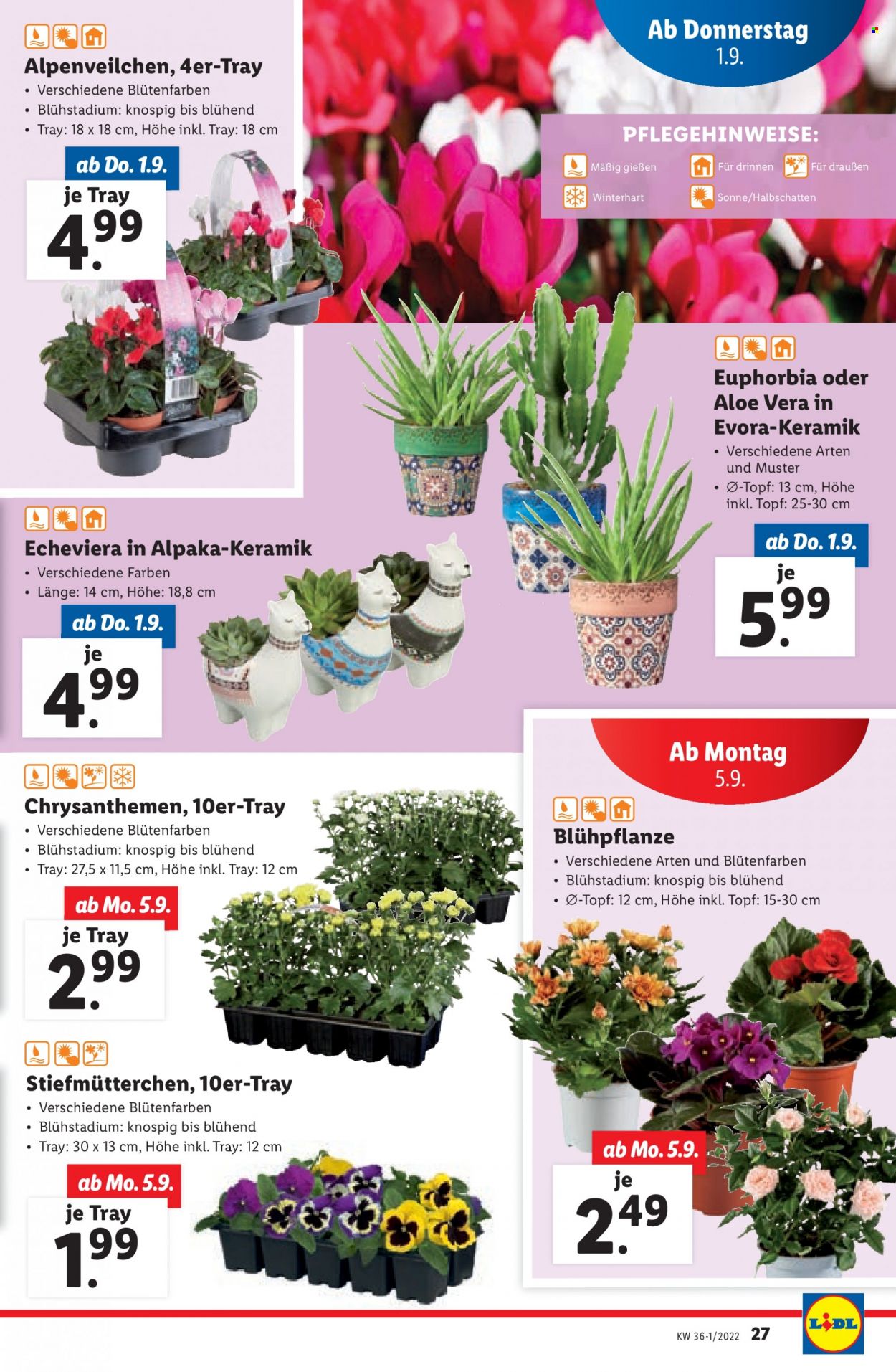 Angebote Lidl - 1.9.2022 - 7.9.2022. Seite 27