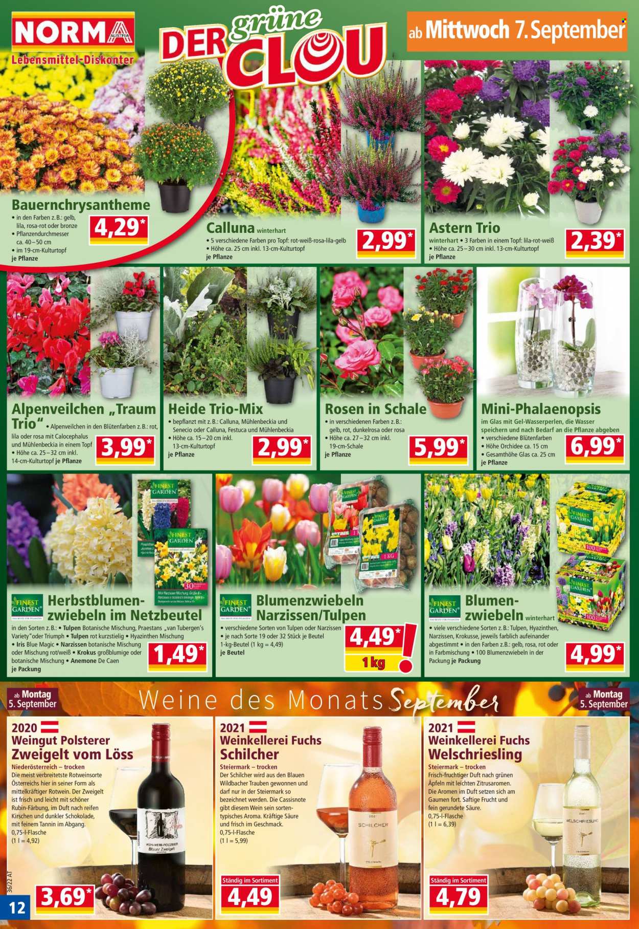 Angebote Norma - 5.9.2022 - 10.9.2022. Seite 12