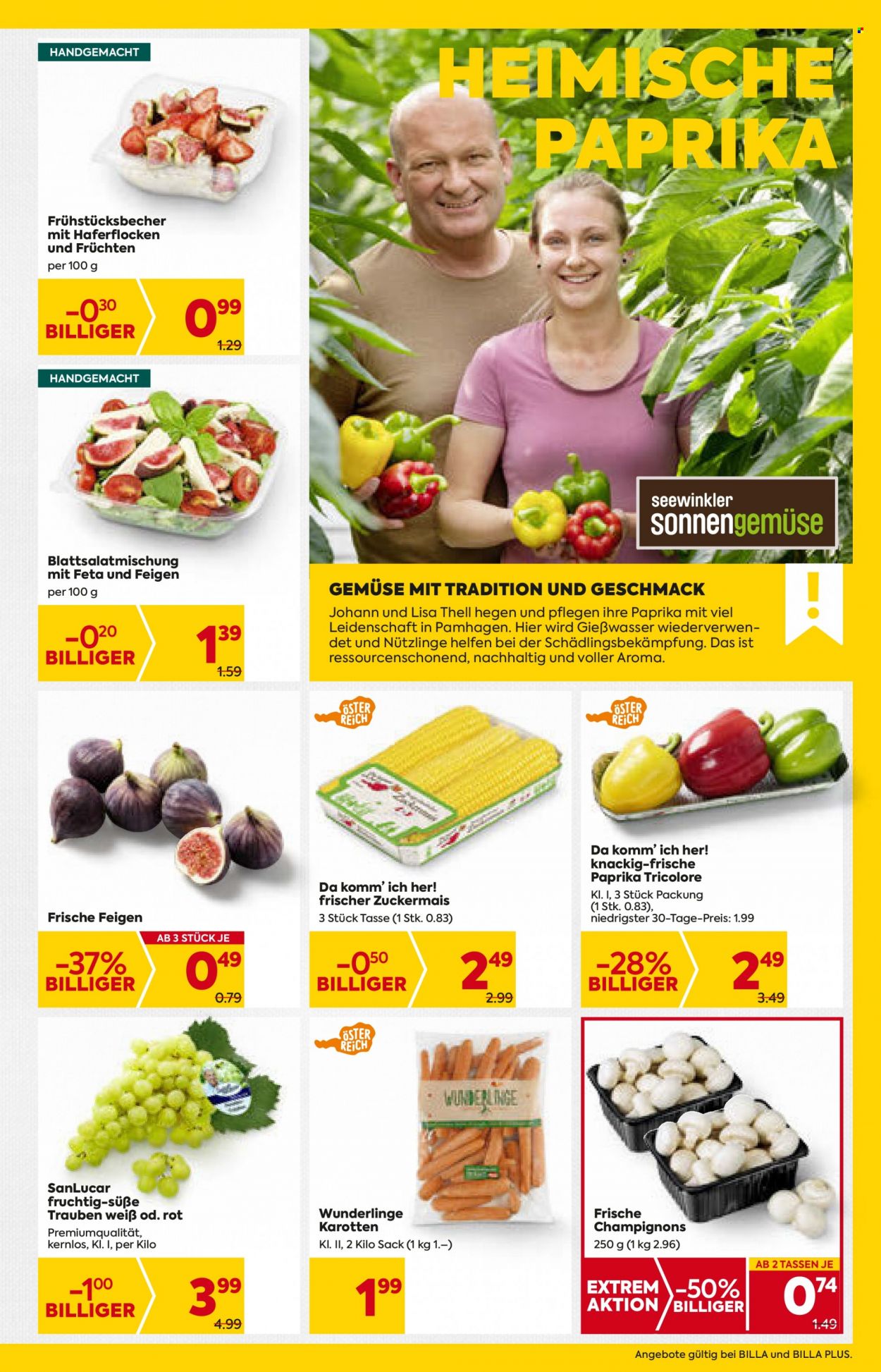 Angebote Billa - 8.9.2022 - 14.9.2022. Seite 7