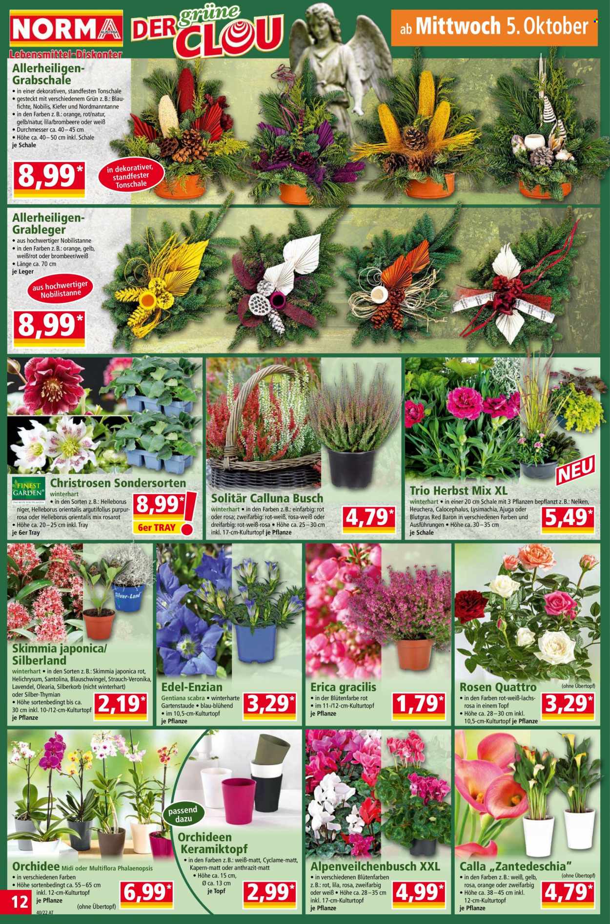 Angebote Norma - 3.10.2022 - 8.10.2022. Seite 12