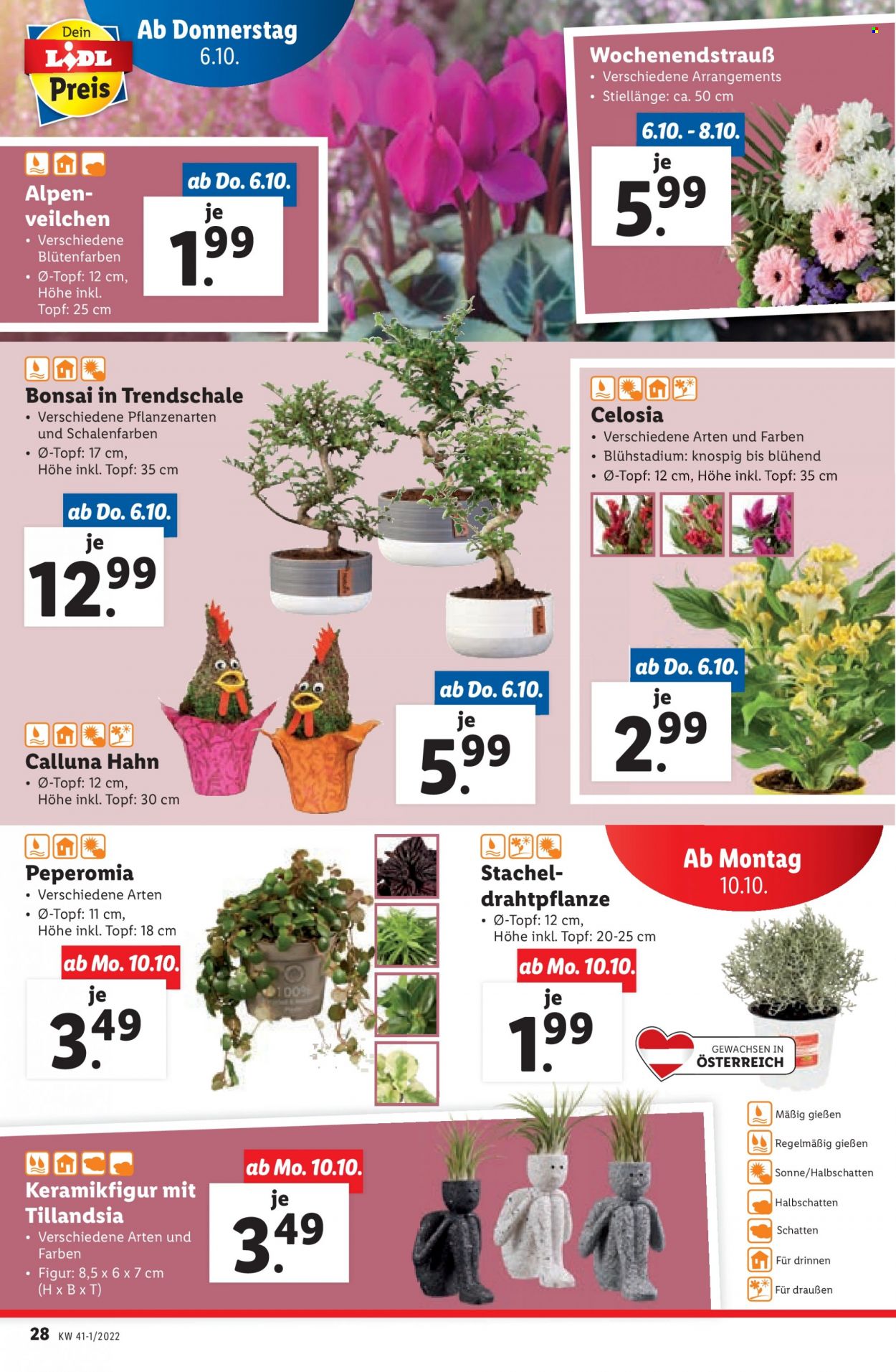 Angebote Lidl - 6.10.2022 - 12.10.2022. Seite 28