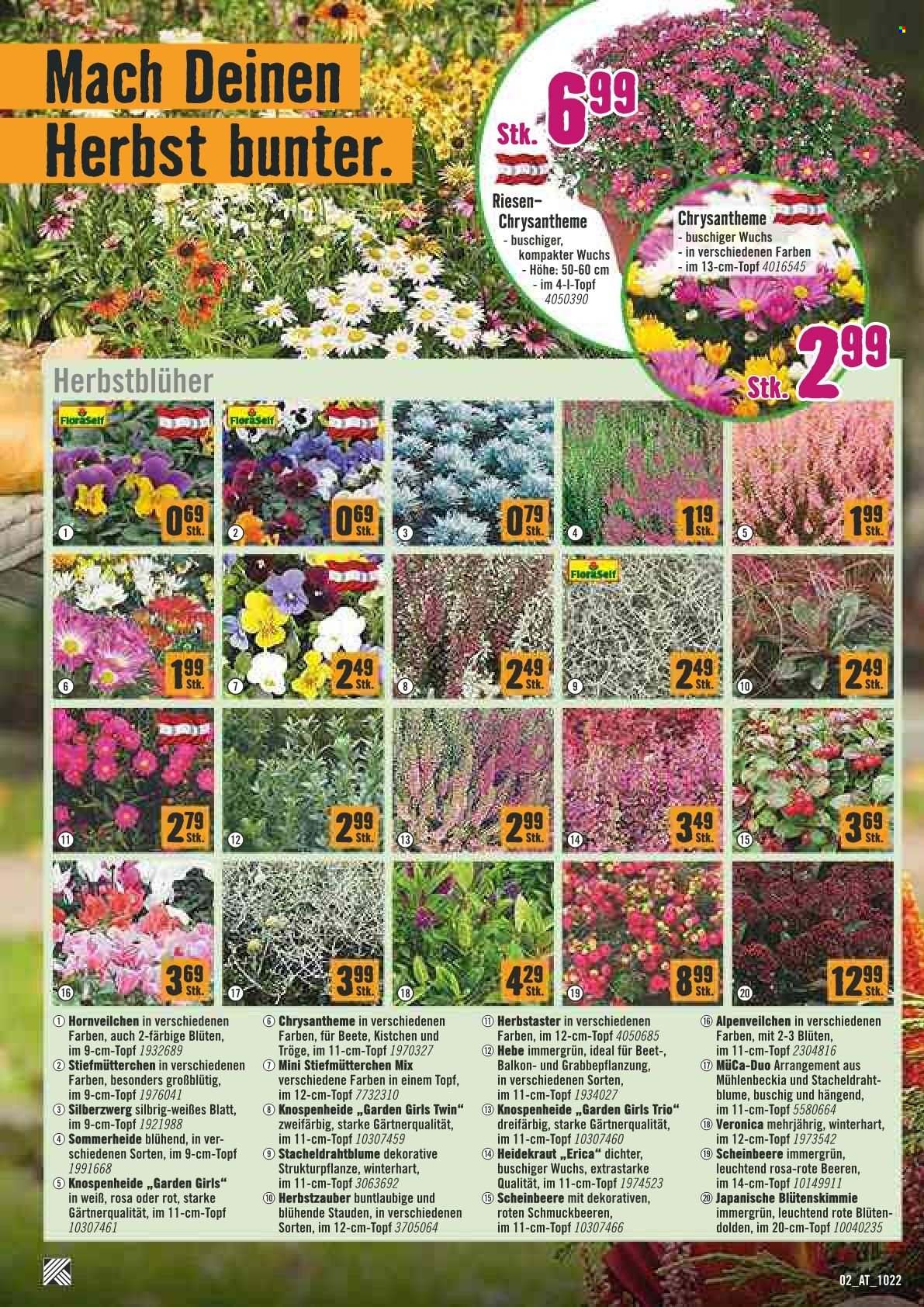 Angebote Hornbach - 1.10.2022 - 19.10.2022. Seite 3