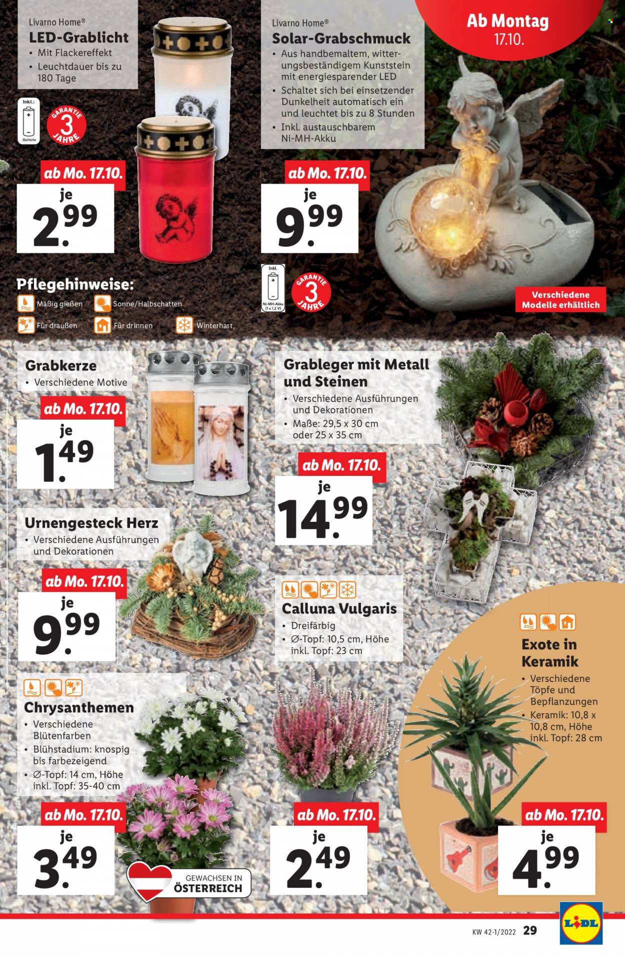 Angebote Lidl - 13.10.2022 - 19.10.2022. Seite 31