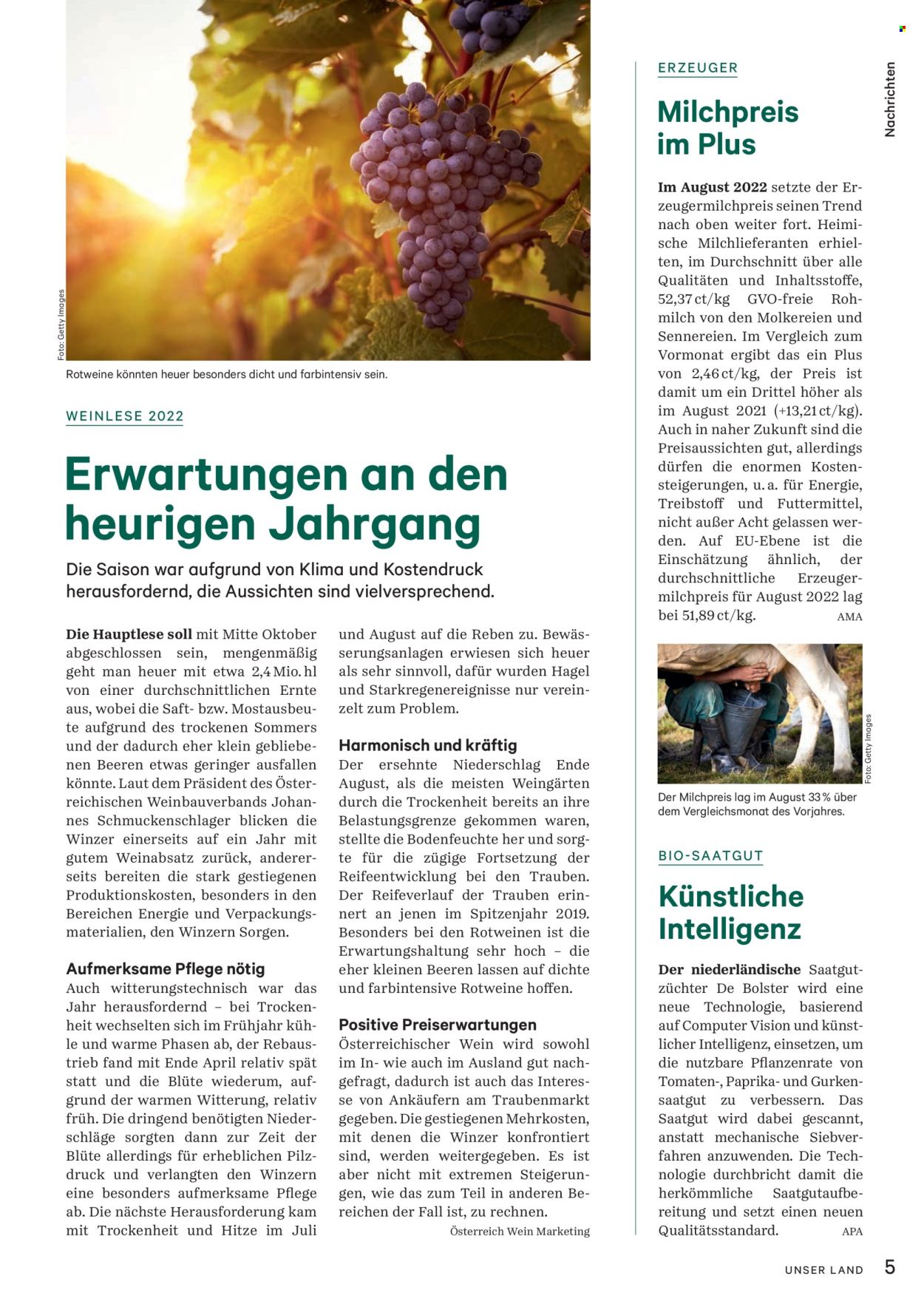 Angebote Lagerhaus - 1.11.2022 - 30.11.2022. Seite 5