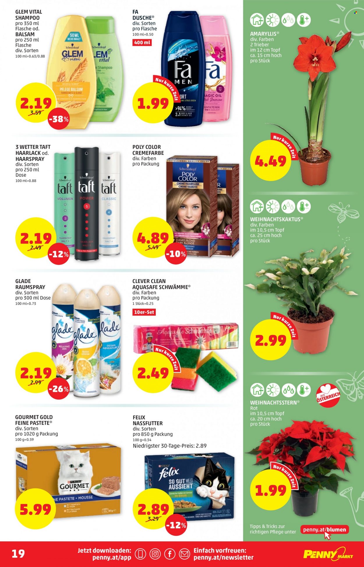 Angebote Penny - 3.11.2022 - 9.11.2022. Seite 19
